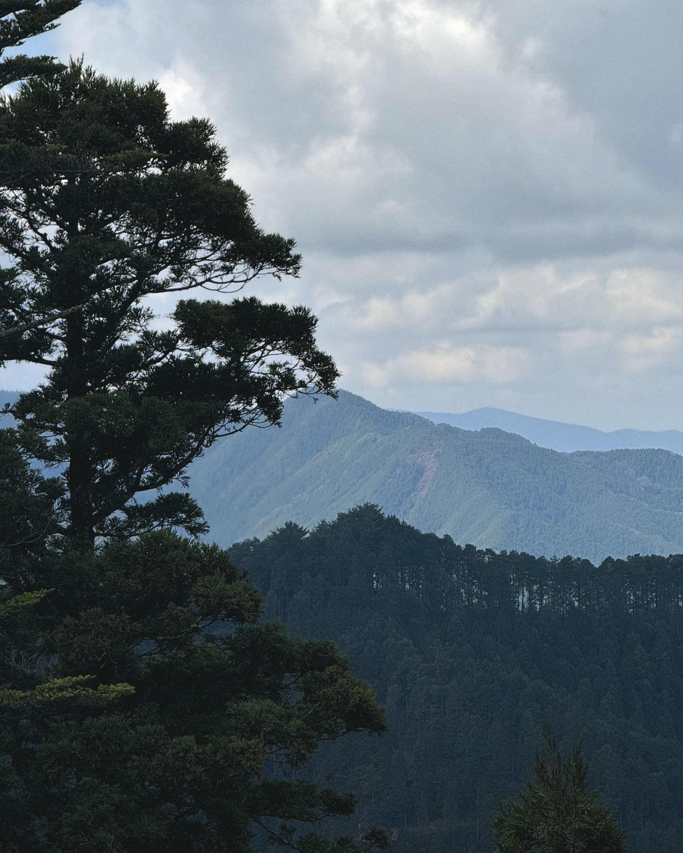 За гранью обычного. Ночь в монастыре, мегаполисы, дзен и лучший шоппинг (18/46)
