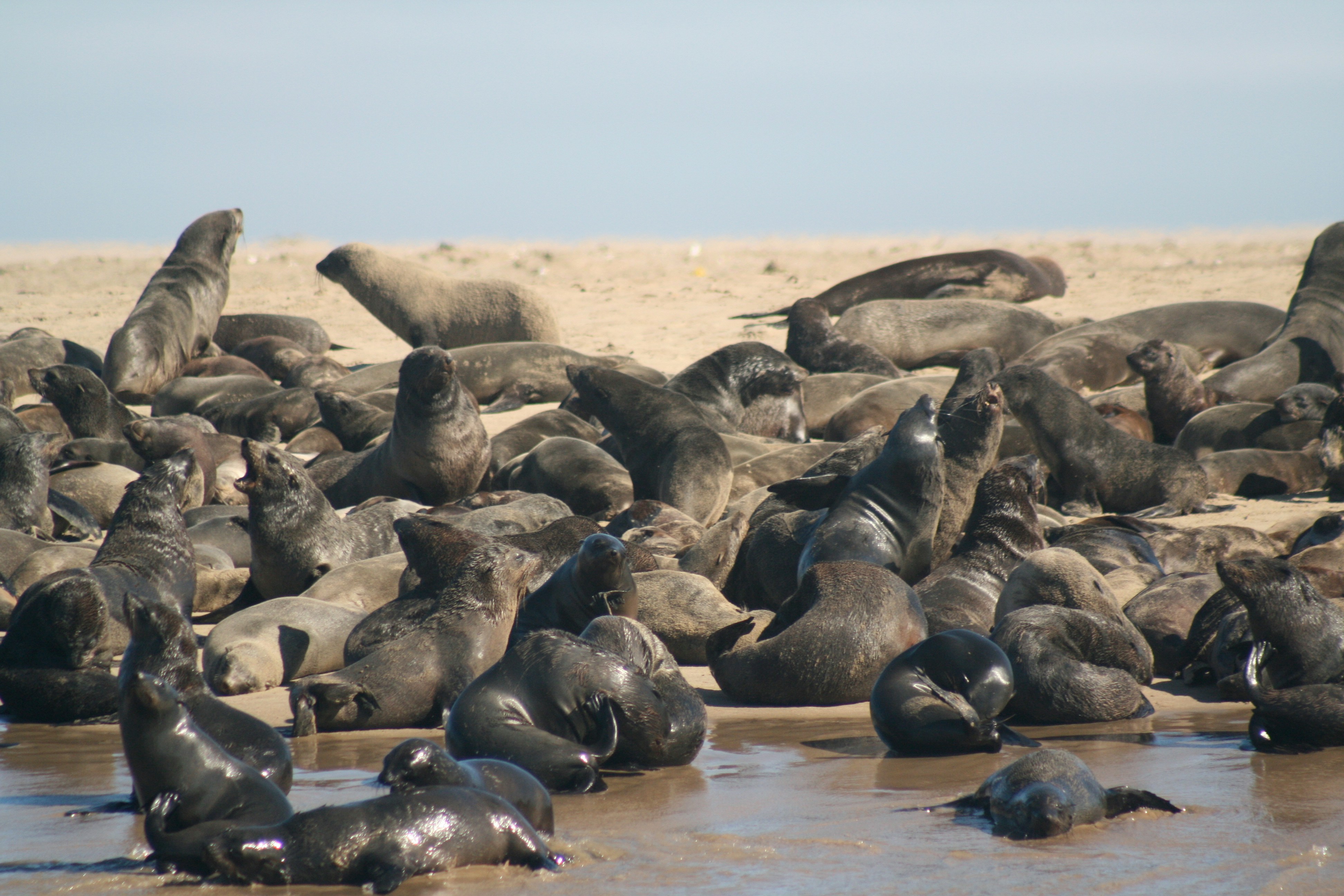 Тур в Намибию без сложной логистики - всё продумано за вас (11/30)