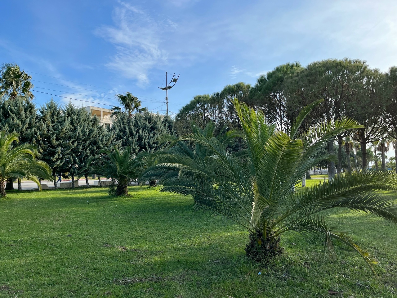 Любовь и Грузия (14/28)