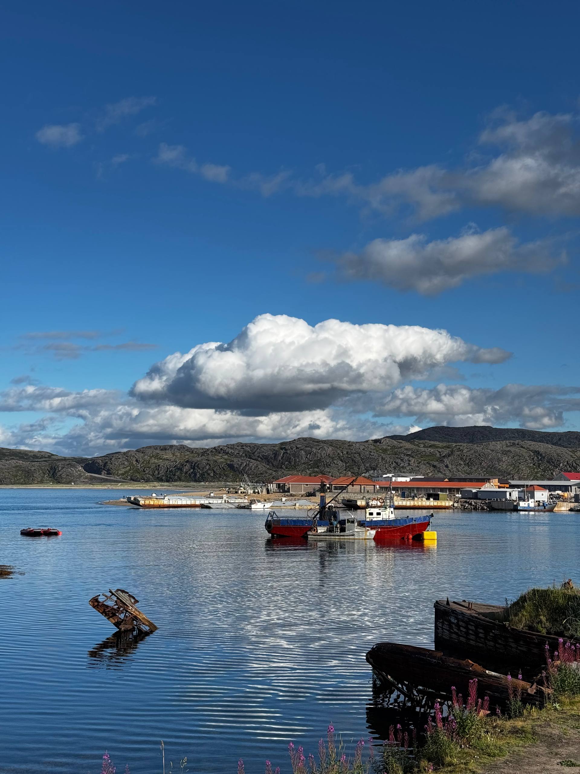 Летний Кольский. Териберка и Ловозерские Тундры. Океан и Горы. (18/18)
