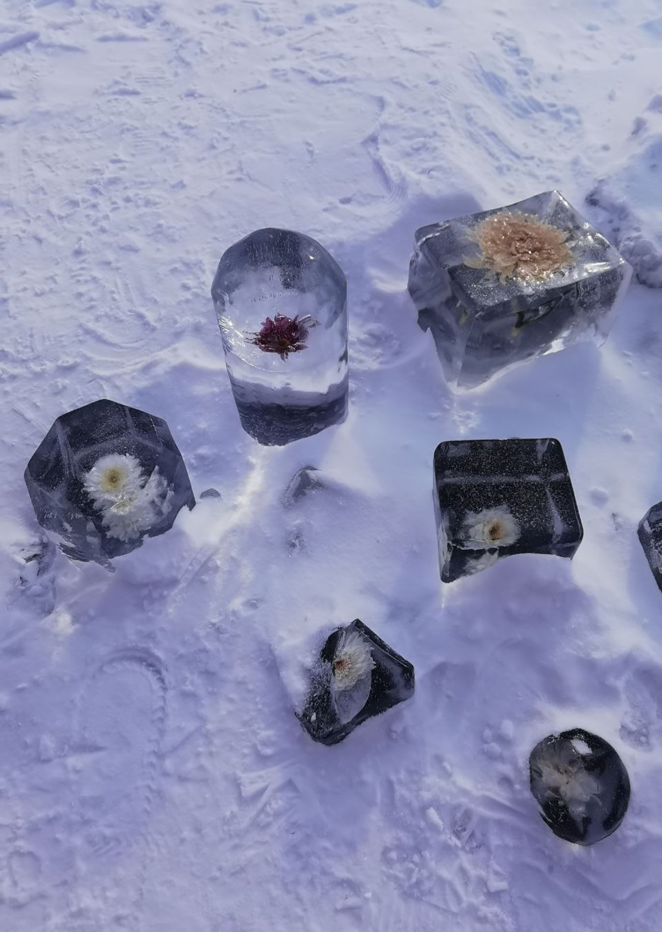 Вся Листвянка за один день. Экспресс-поездка на озеро Байкал. (15/17)