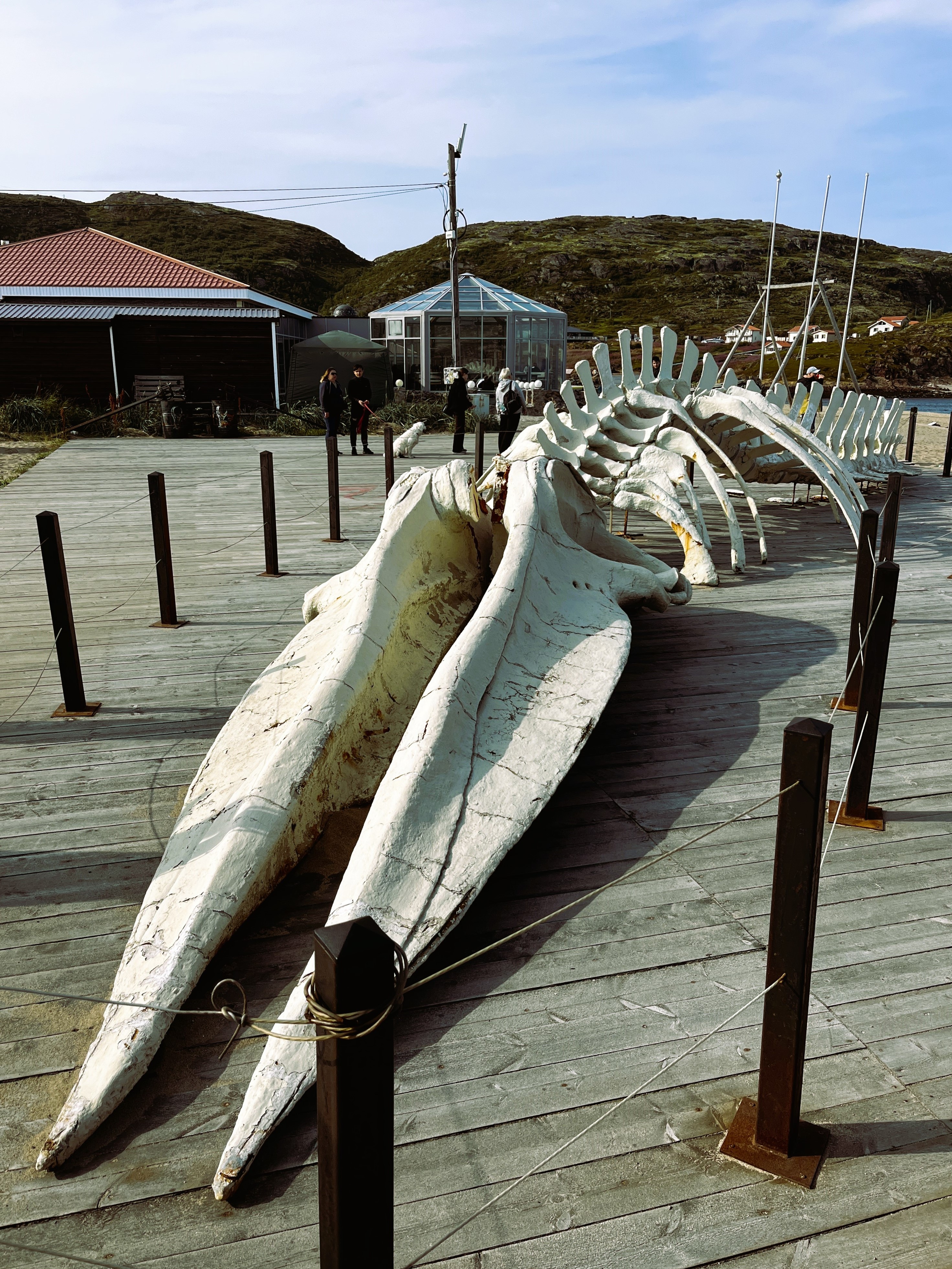 Летний Кольский. Териберка и Ловозерские Тундры. Океан и Горы. (4/18)