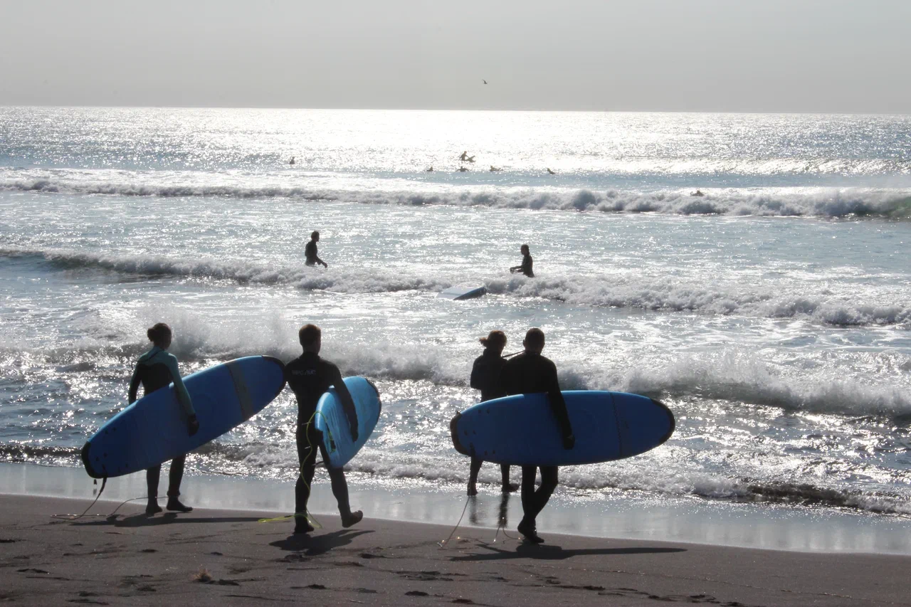 Камчатка! Киты, Вулканы, Медведи, Океан! (38/40)