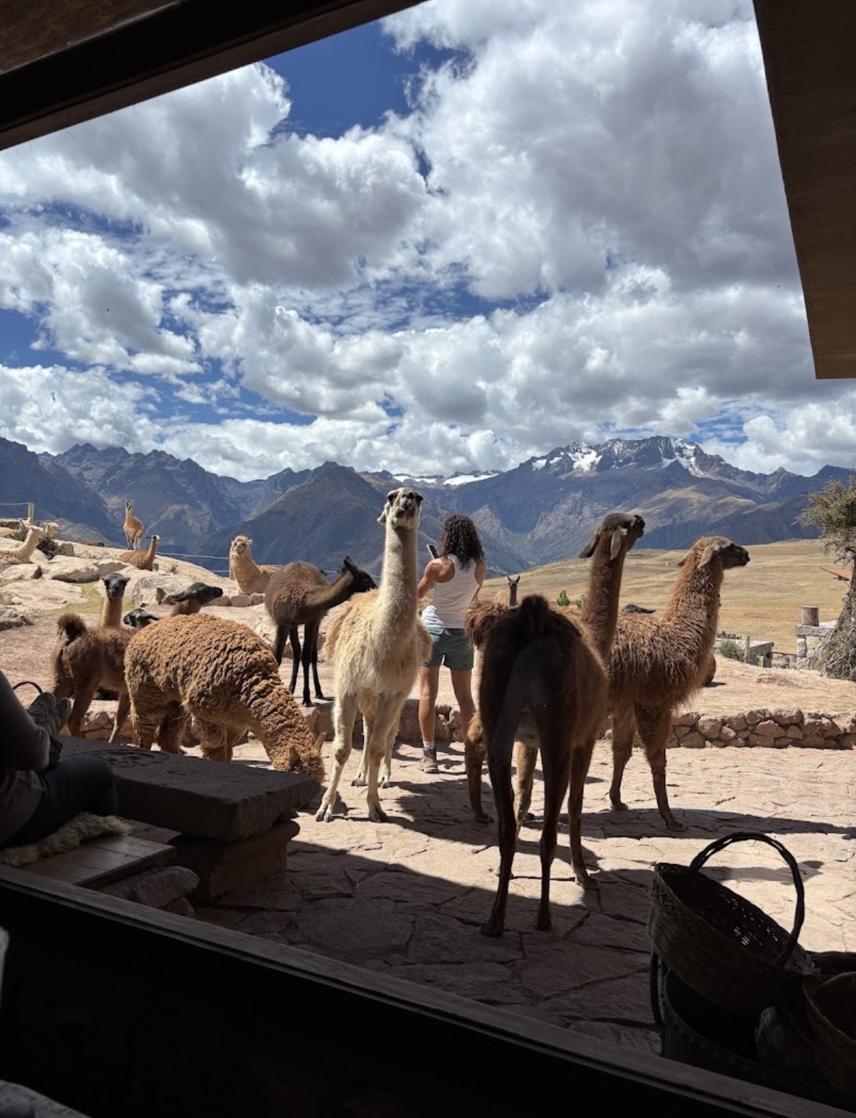 Перу - незабываемый тур по древним тропам инков и природе Южной Америки! (17/27)
