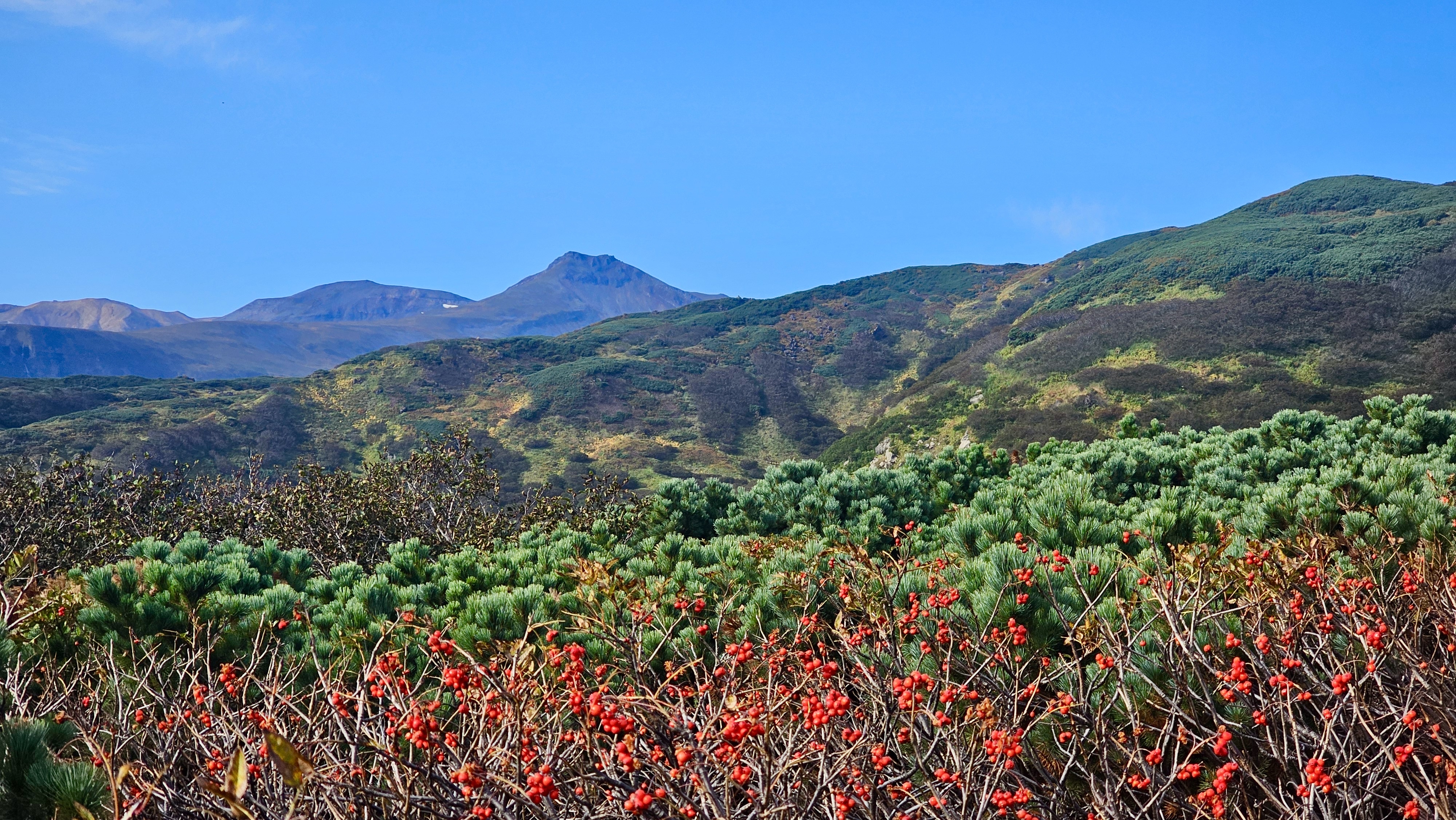 Северные Курилы. Экспедиция к острову Онекотан (12/46)