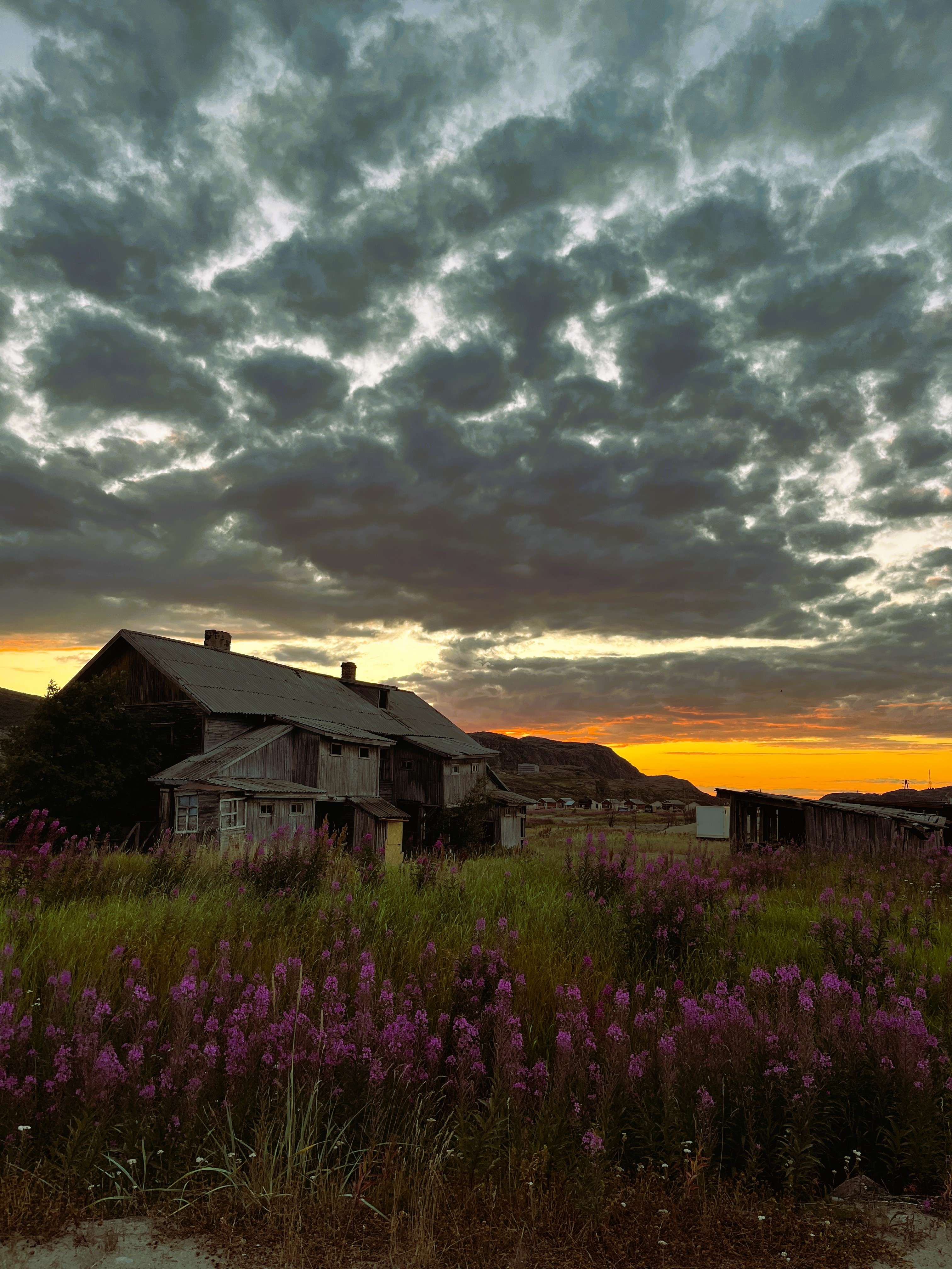 Летний Кольский. Териберка и Ловозерские Тундры. Океан и Горы. (3/18)