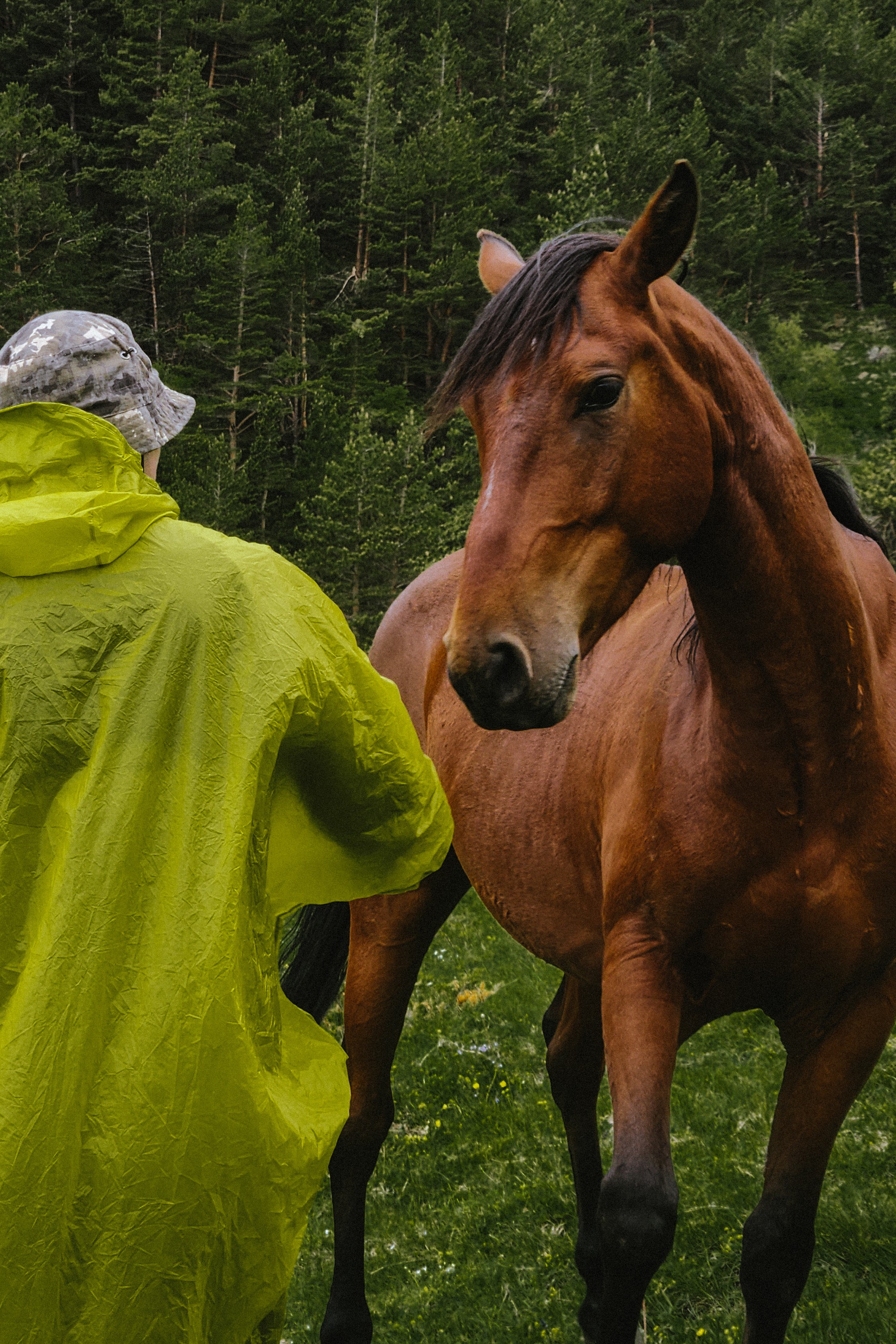 Вокруг Эльбруса за 10 дней (21/31)