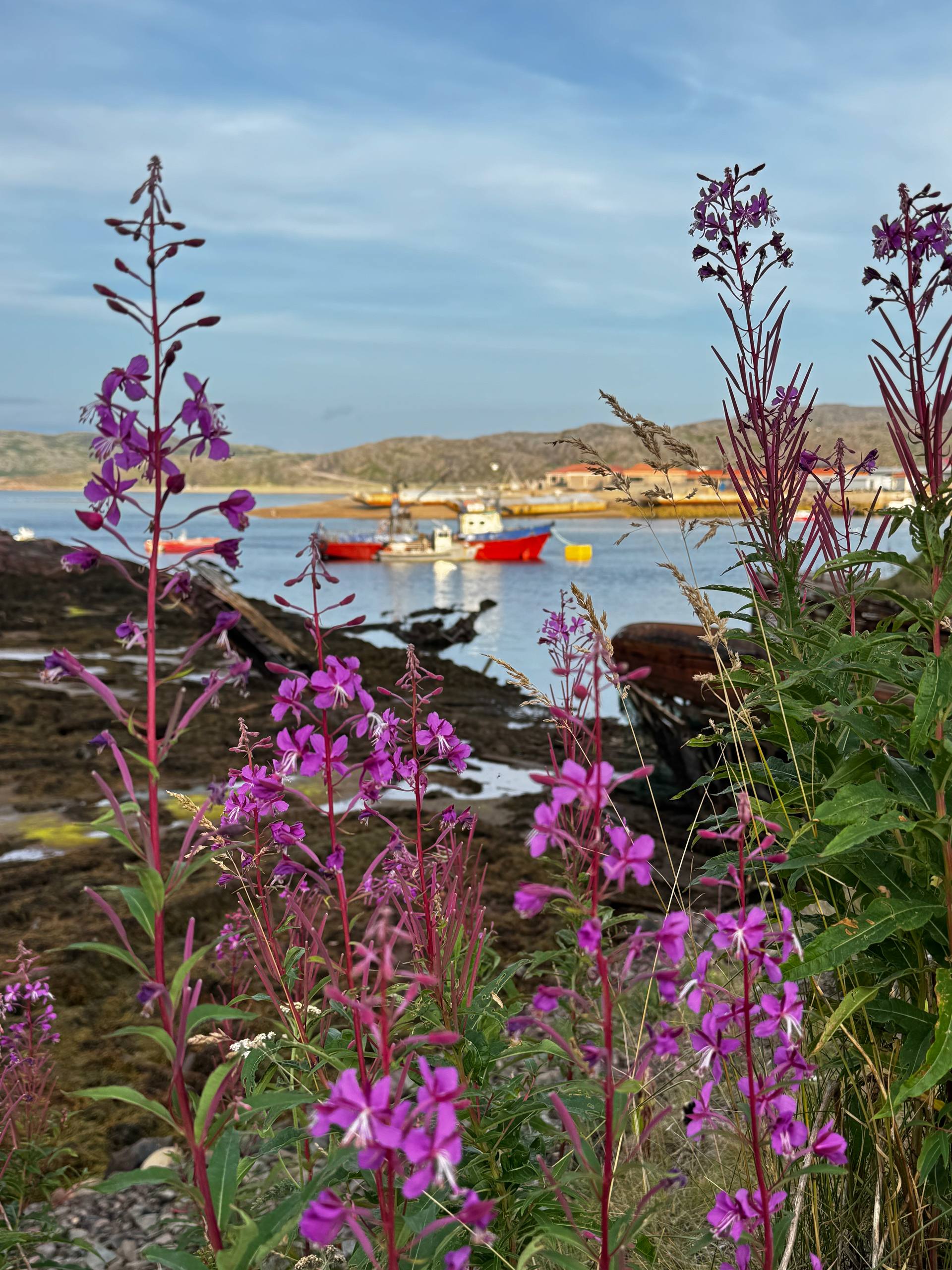 Летний Кольский. Териберка и Ловозерские Тундры. Океан и Горы. (9/18)