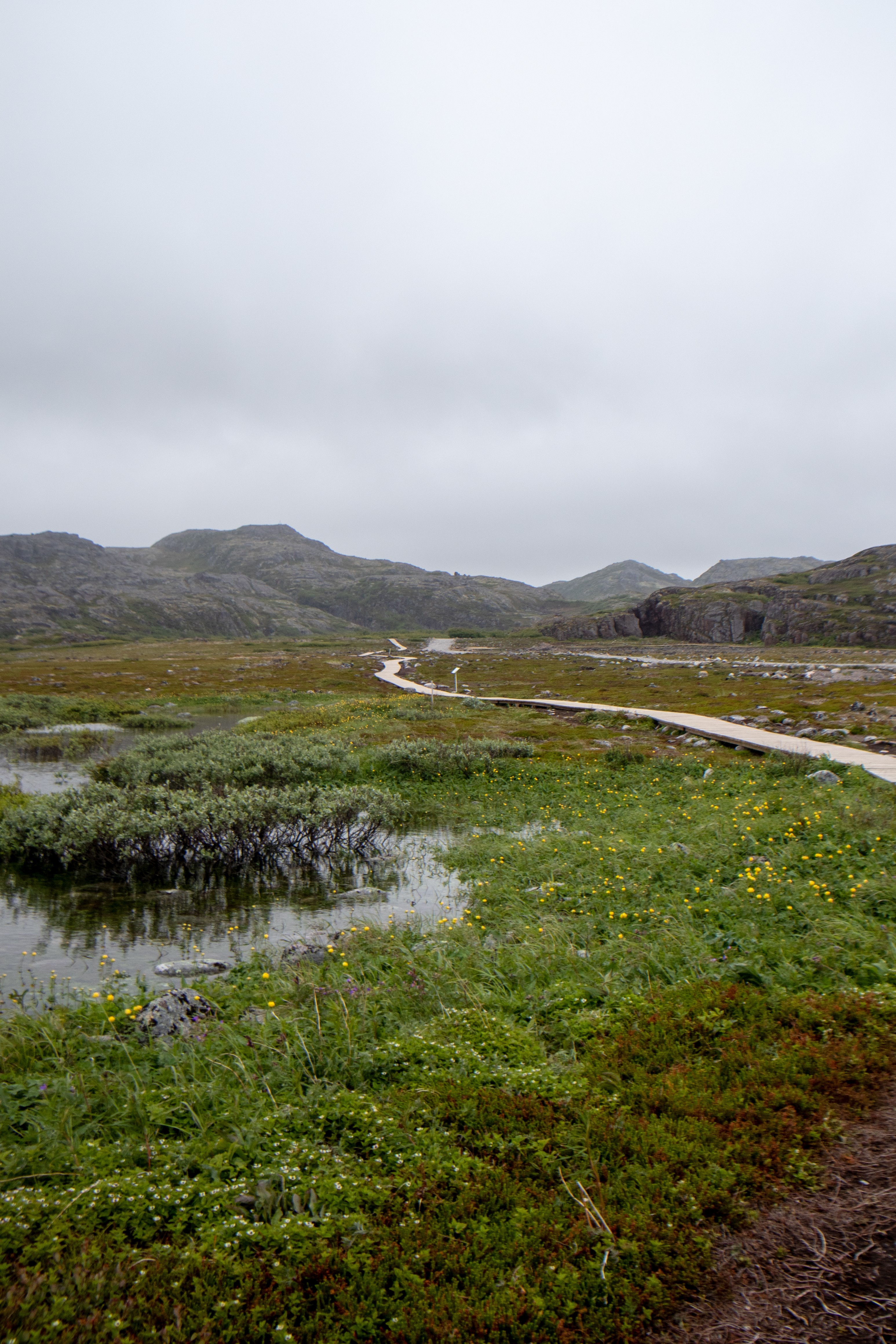 Гастротур на Кольский полуостров + 3 экскурсии (22/37)