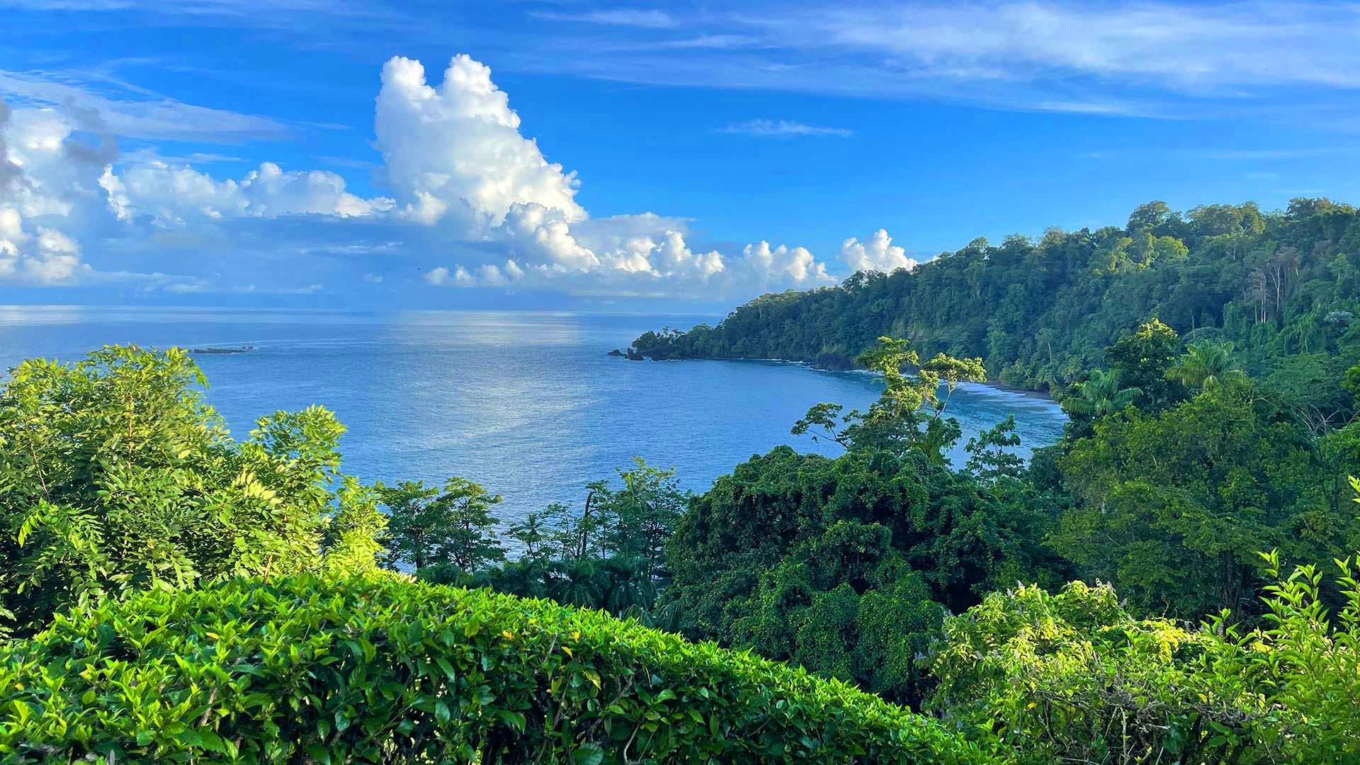 Коста-Рика с известным фотографом-анималистом (35/49)