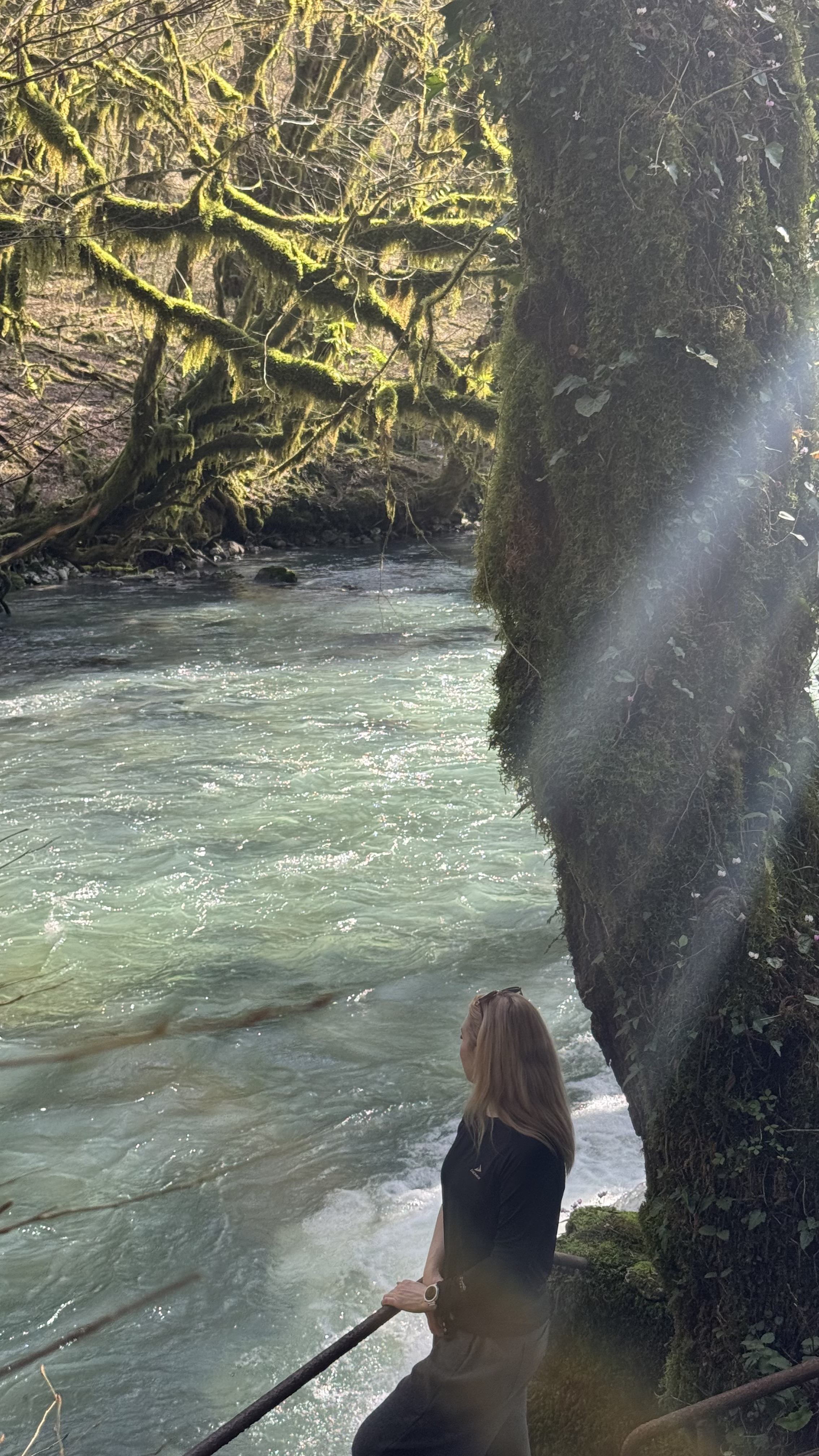 3 дня в Абхазии (8/23)