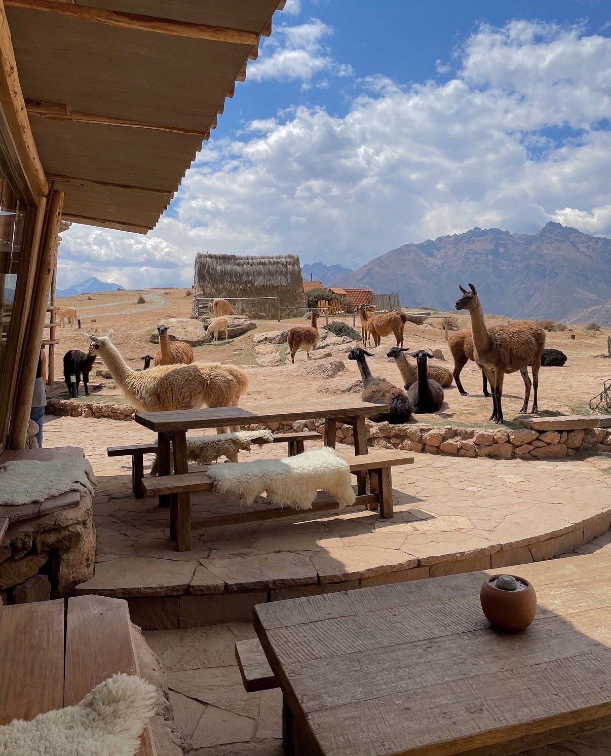 Перу - незабываемый тур по древним тропам инков и природе Южной Америки! (16/27)