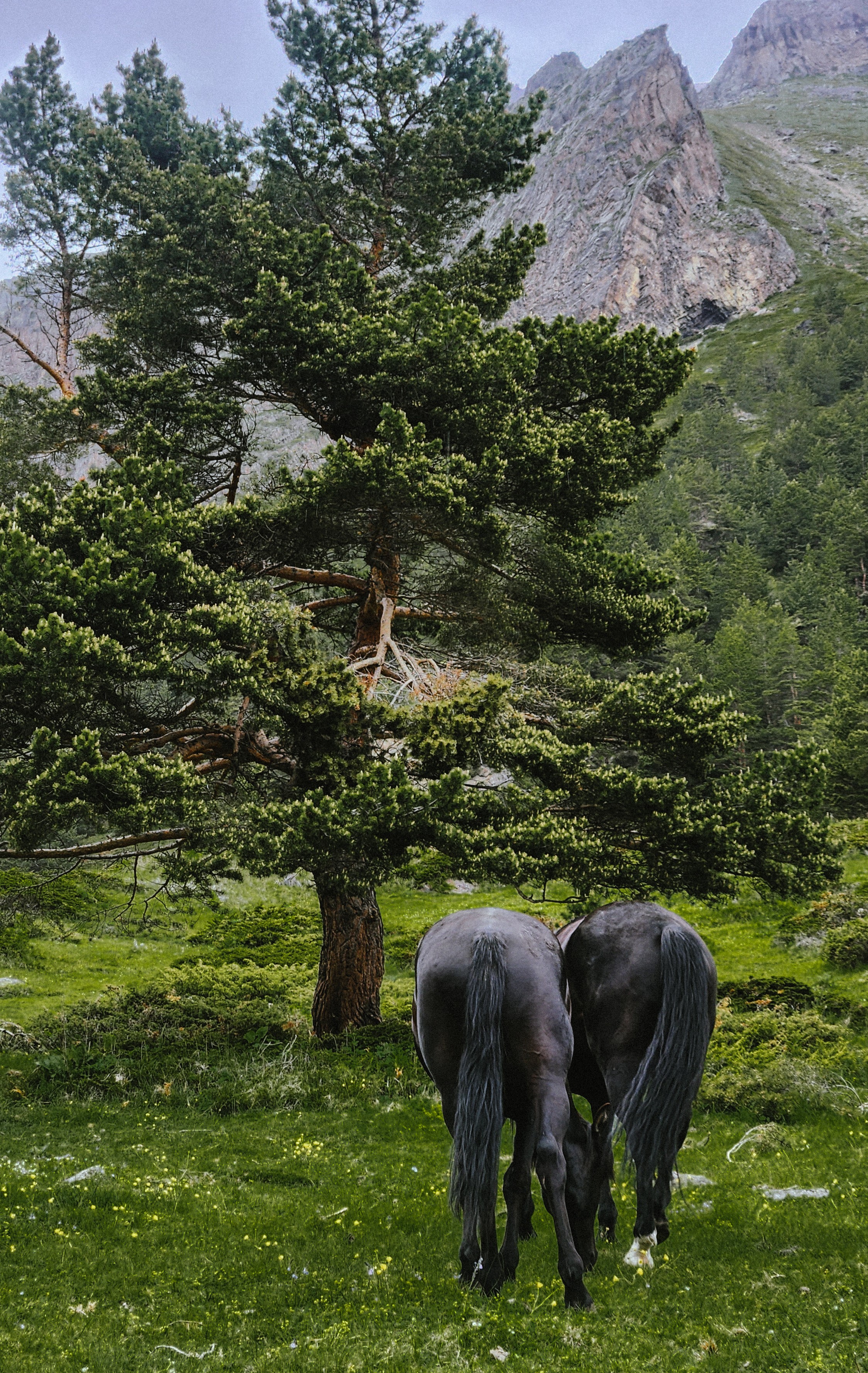 Вокруг Эльбруса за 10 дней (30/31)