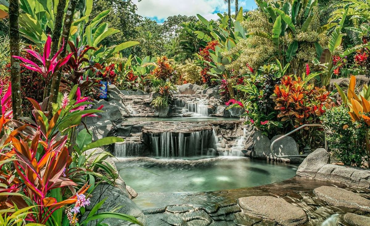 Коста-Рика с известным фотографом-анималистом (25/49)