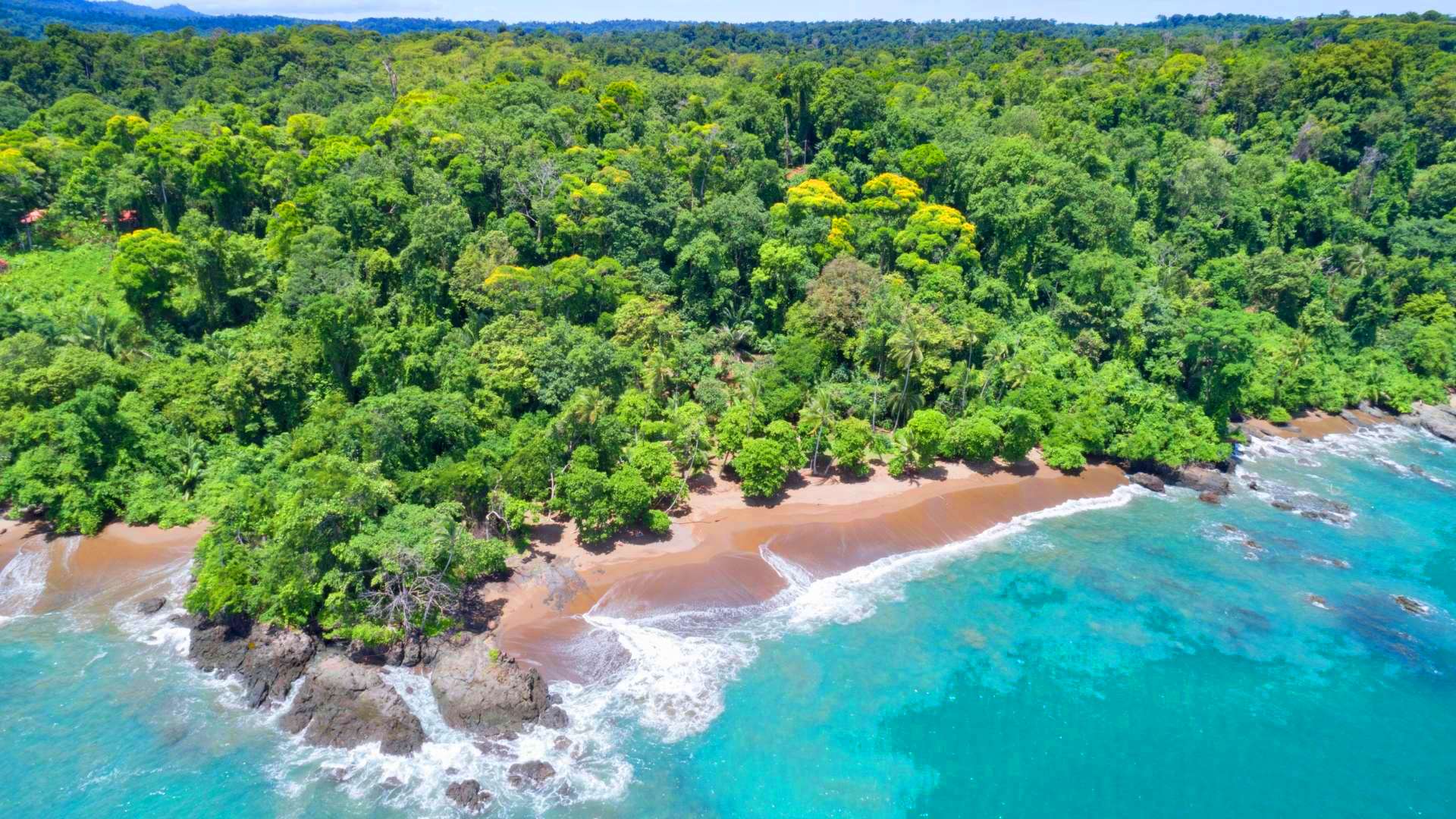 Коста-Рика с известным фотографом-анималистом (37/49)