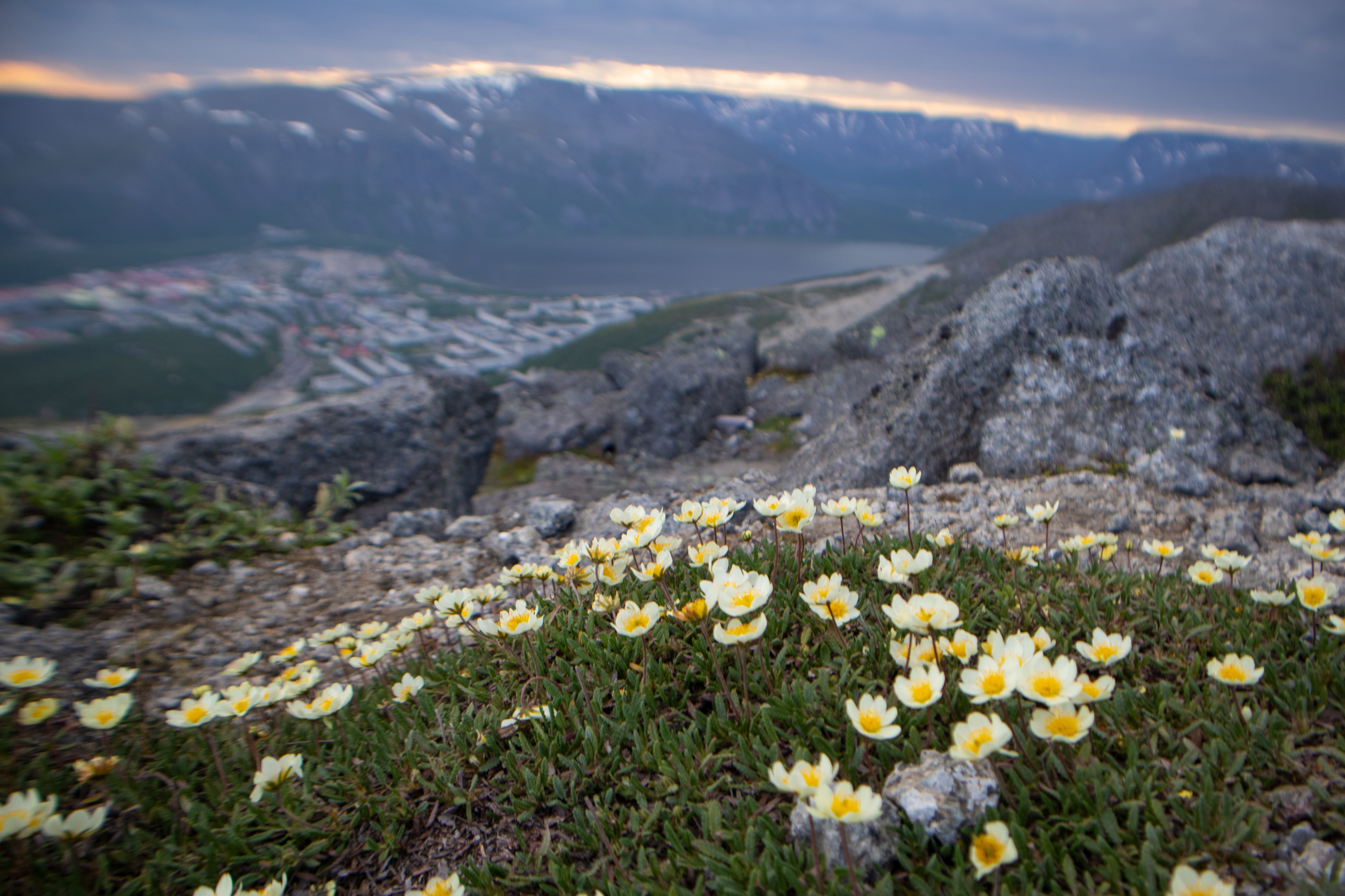 Гастротур на Кольский полуостров + 3 экскурсии (31/37)