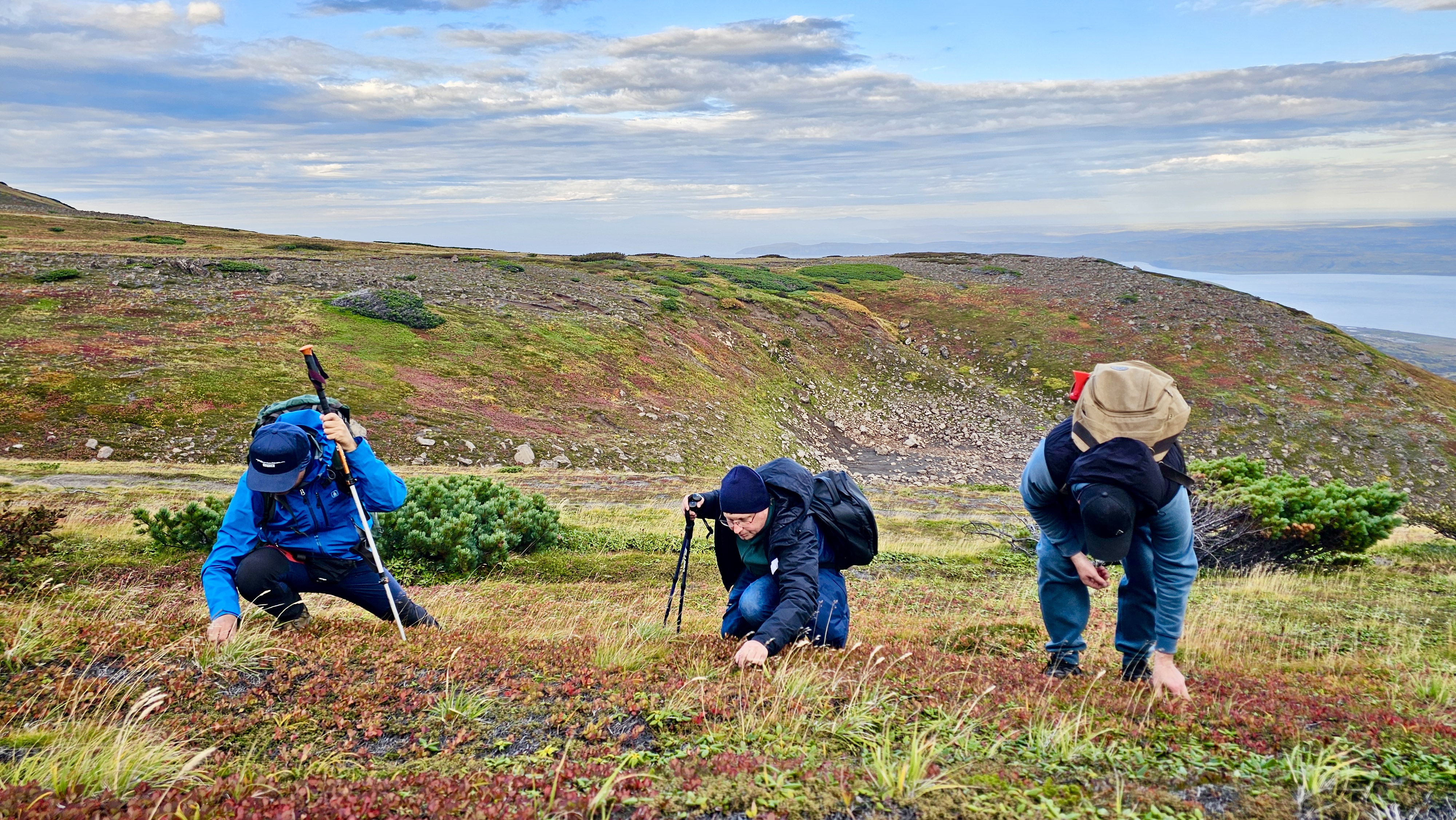 Северные Курилы. Экспедиция к острову Онекотан (2/46)