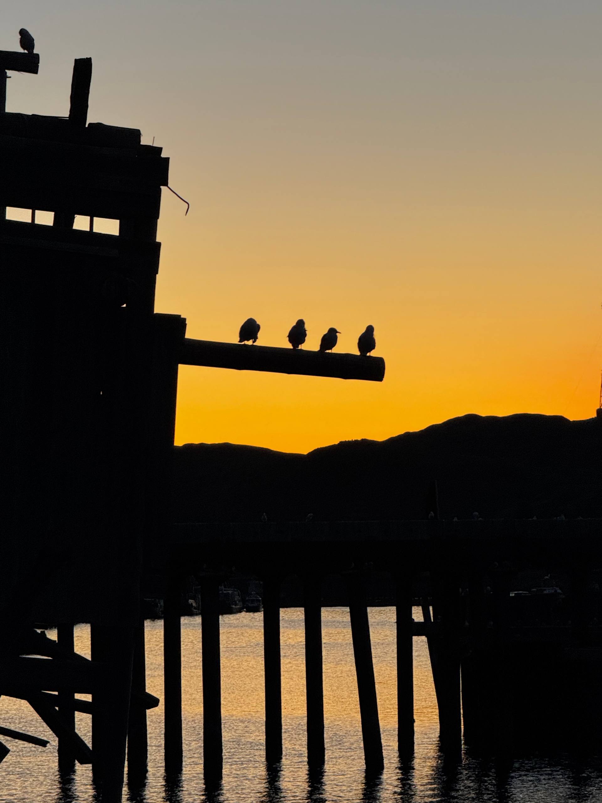 Летний Кольский. Териберка и Ловозерские Тундры. Океан и Горы. (7/18)