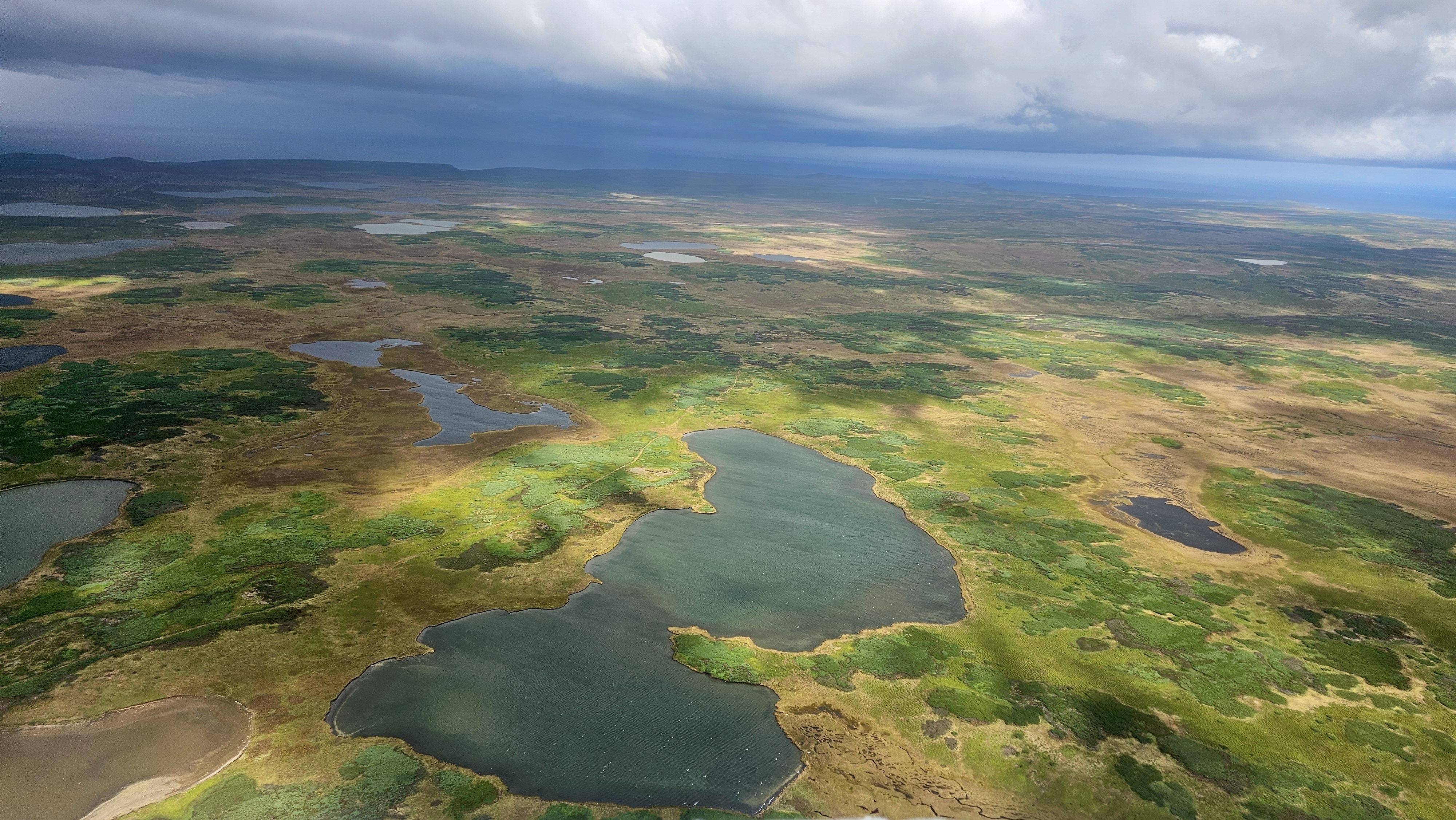 Северные Курилы. Экспедиция к острову Онекотан (39/46)