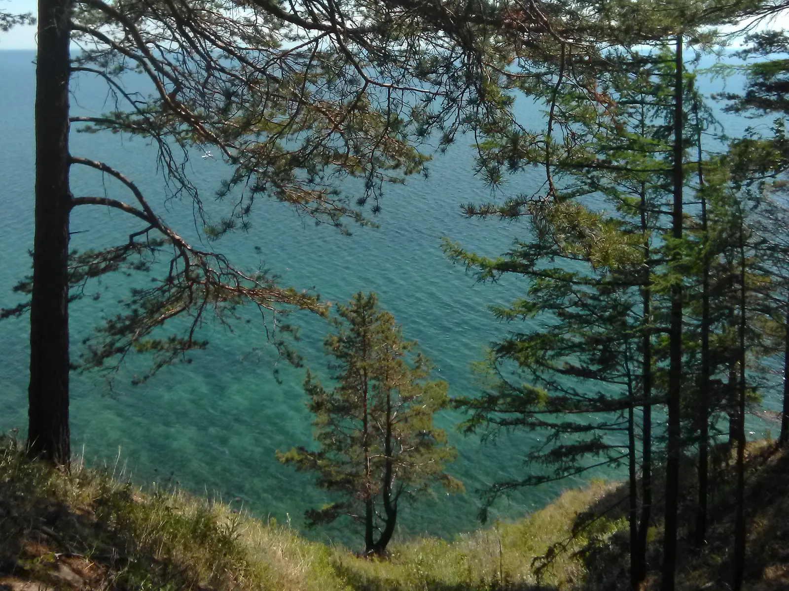 Вся Листвянка за один день. Экспресс-поездка на озеро Байкал. (2/17)