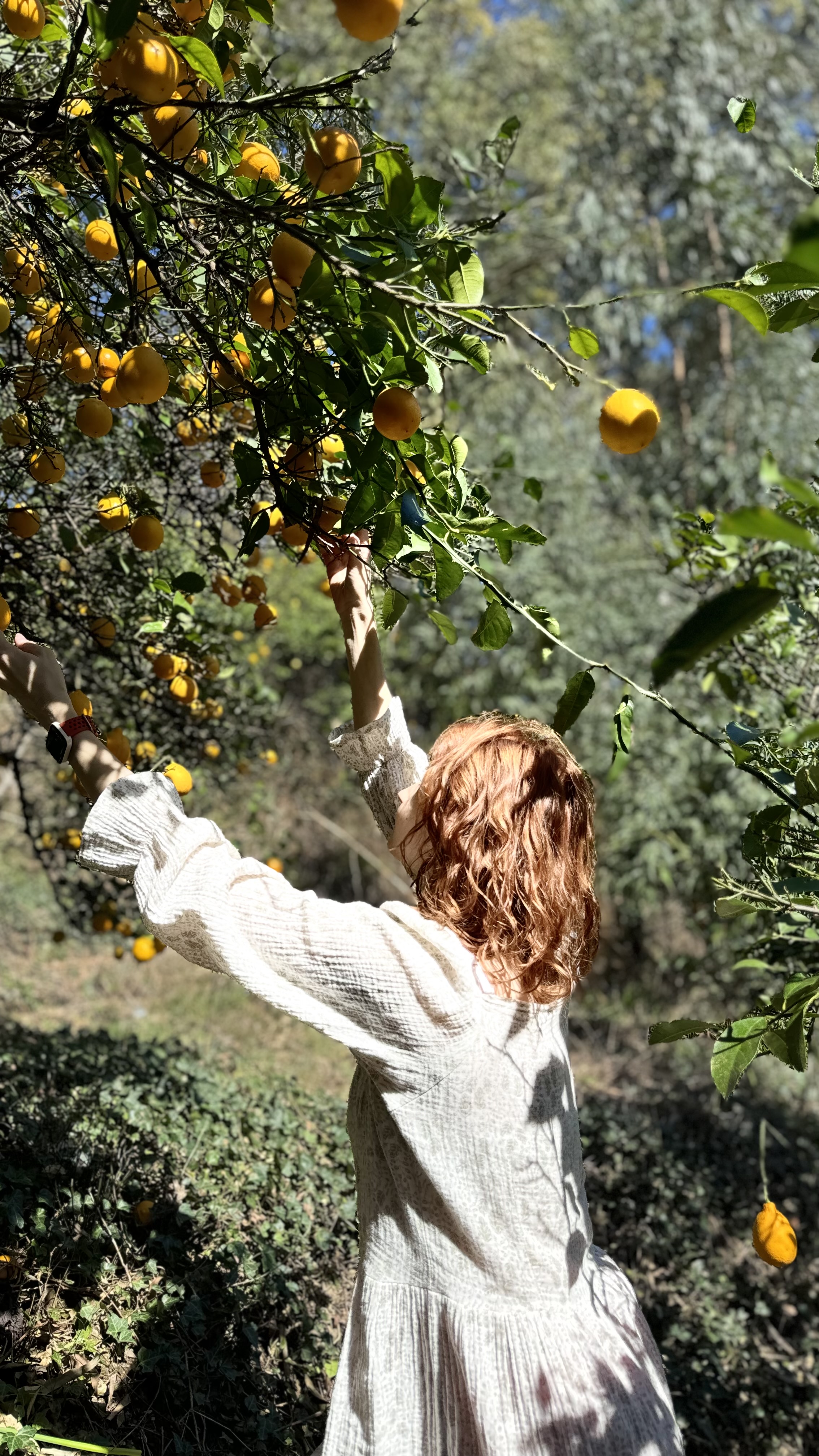 3 дня в Абхазии (9/23)