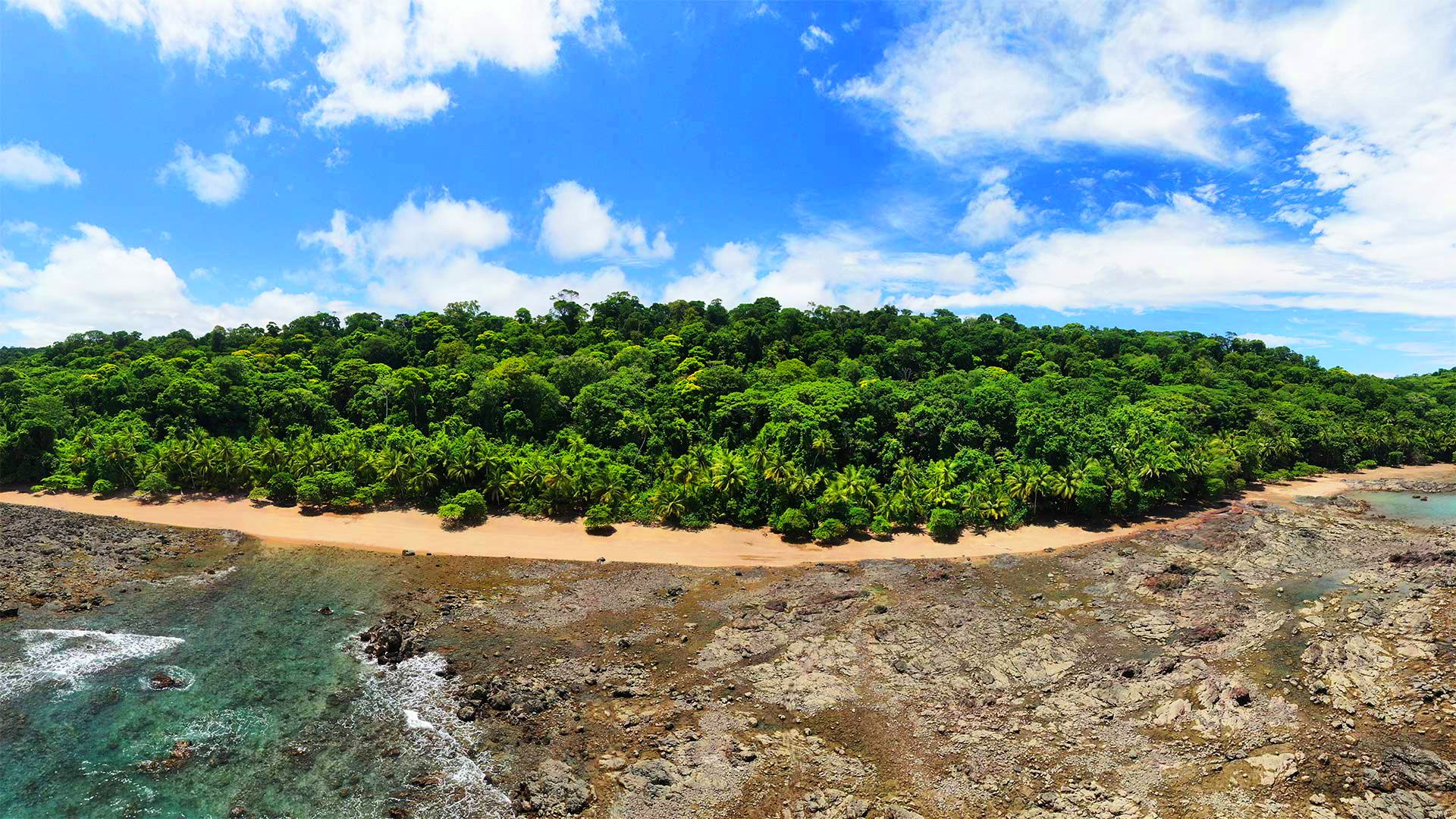 Коста-Рика с известным фотографом-анималистом (36/49)