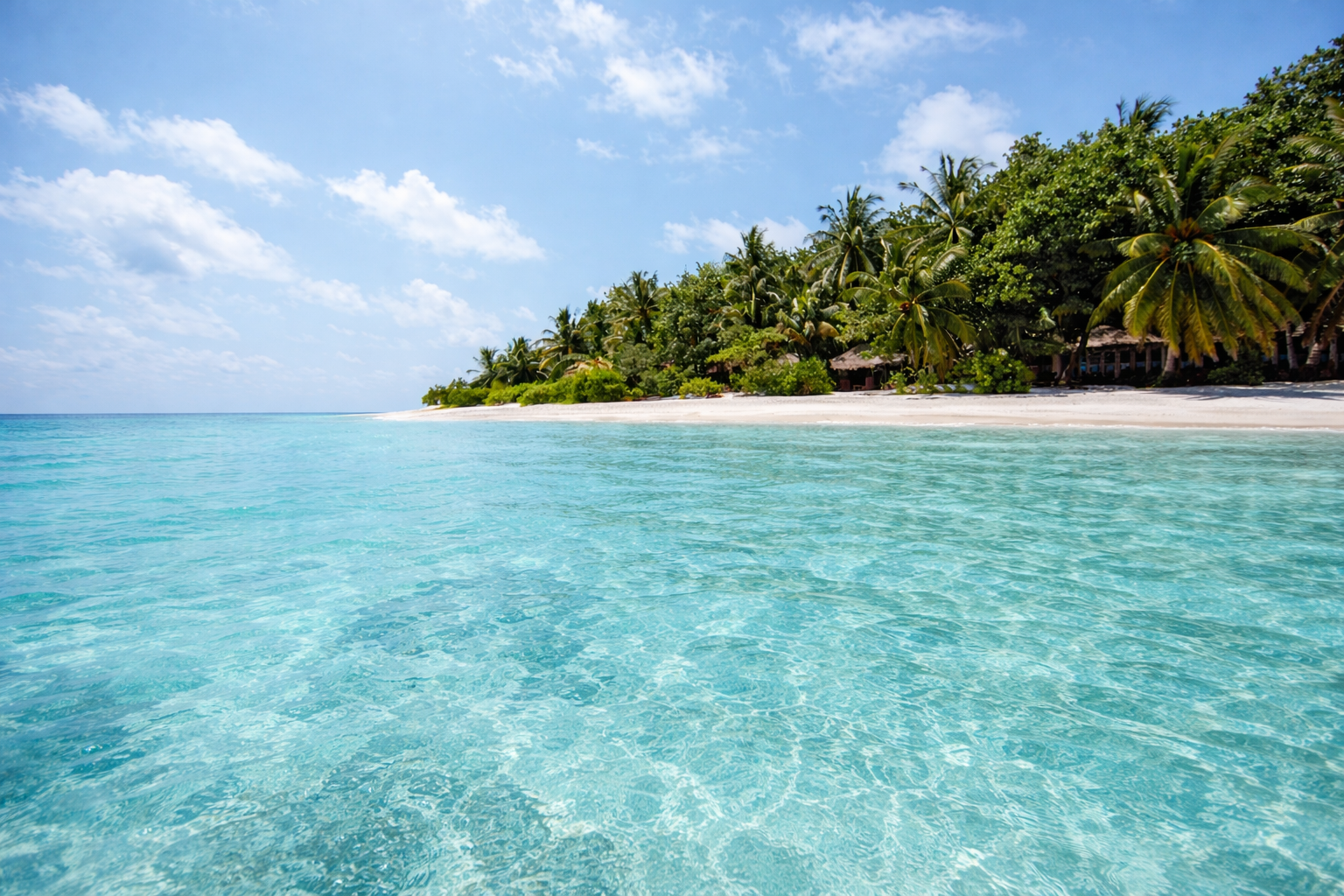 Тропические приключения на Мальдивах (18/36)