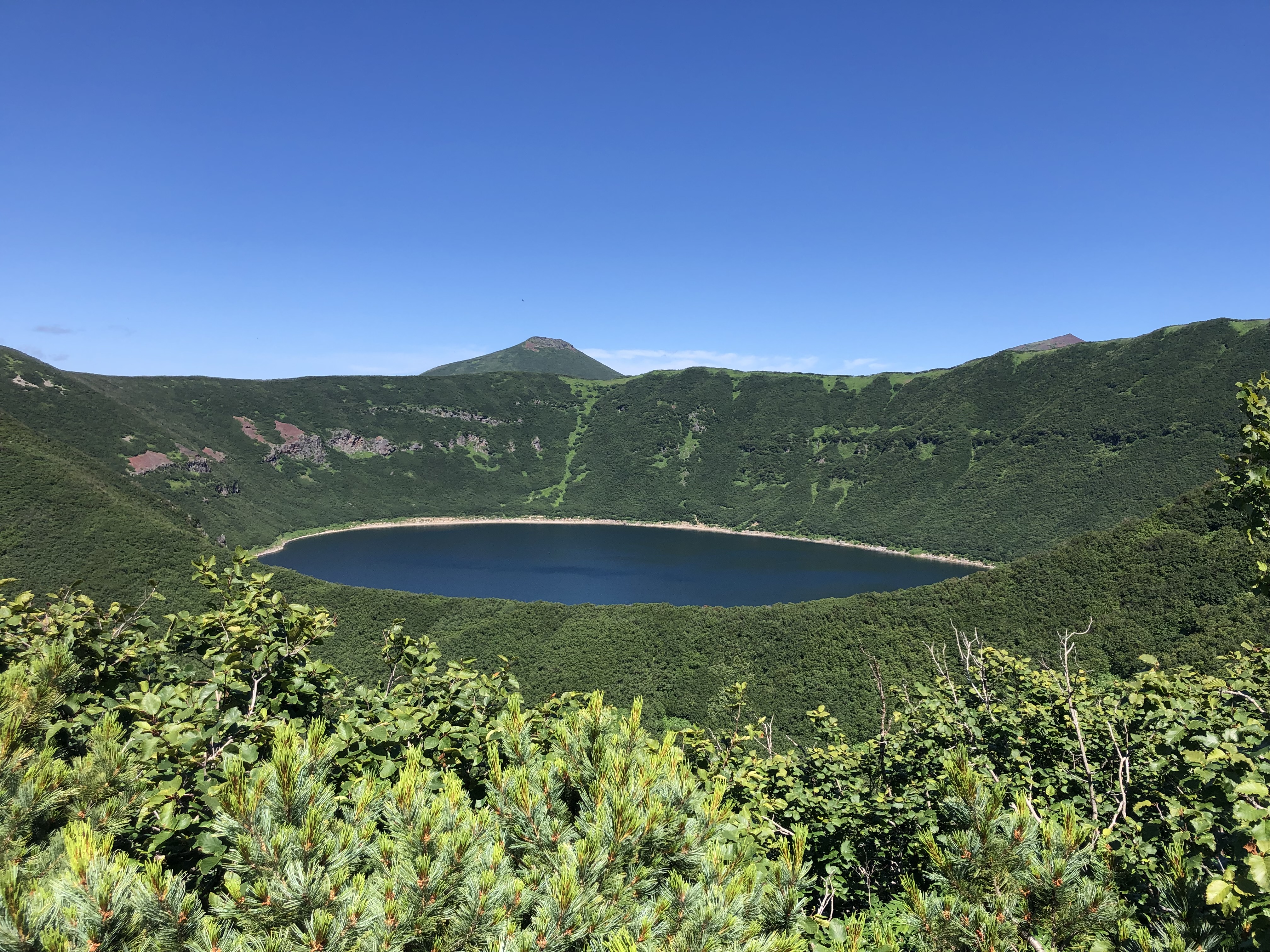 Джип-тур: На поиски медведя(Тур для компании 1-5 чел. одна цена)