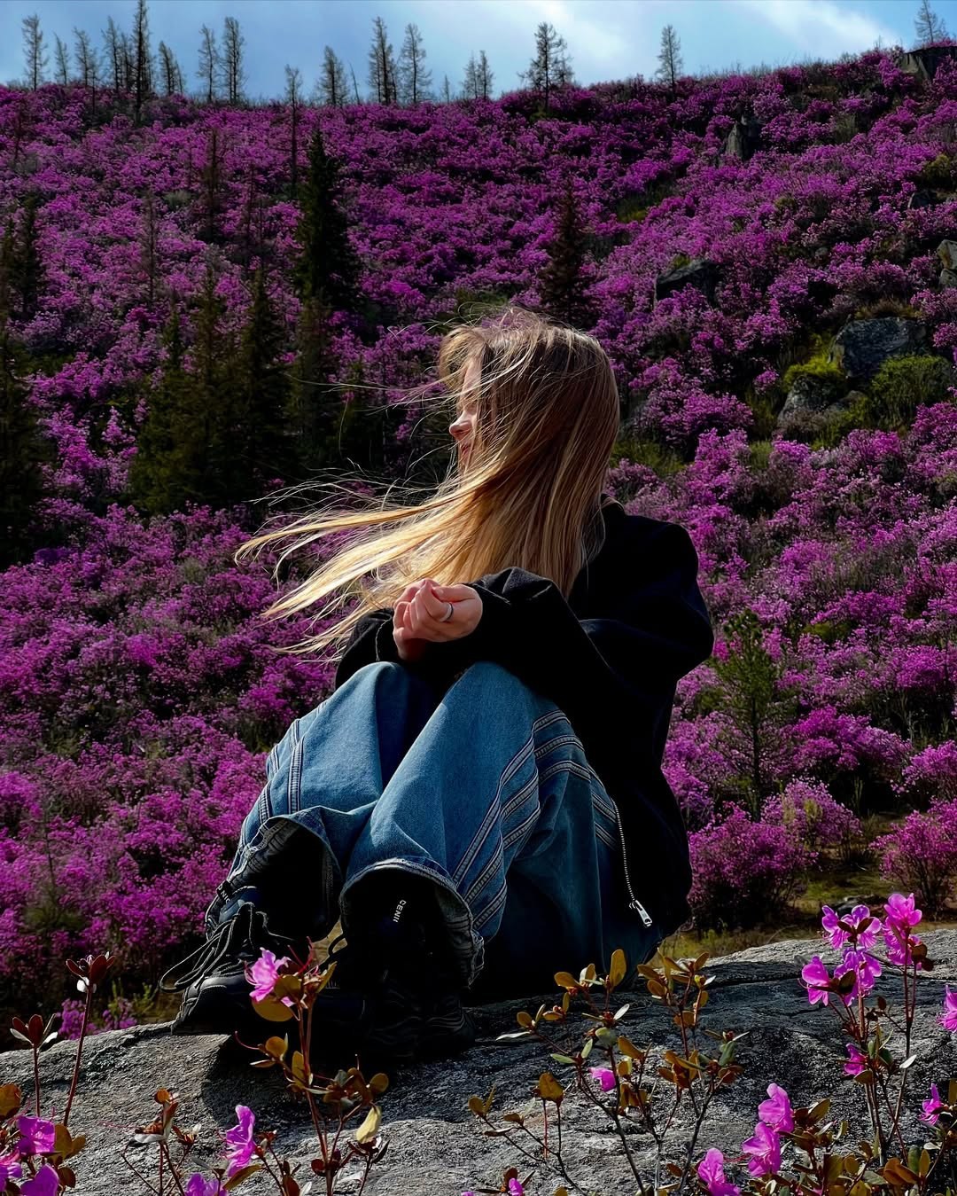 Цветение маральника на Алтае