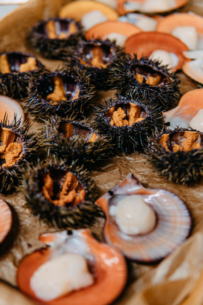 Гастротур Северные Мальдивы (10/11)