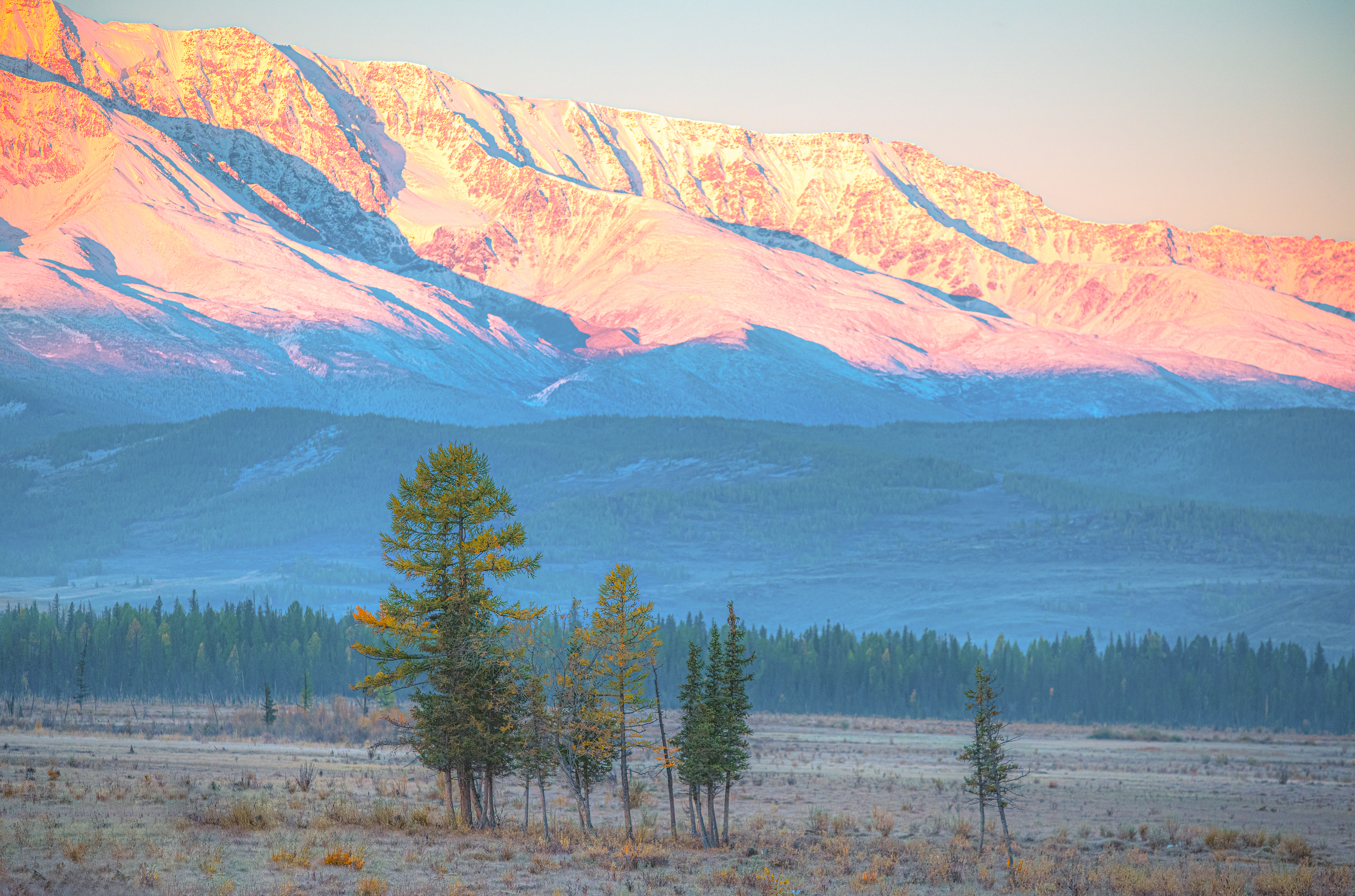 Золотая осень Алтая (21/58)