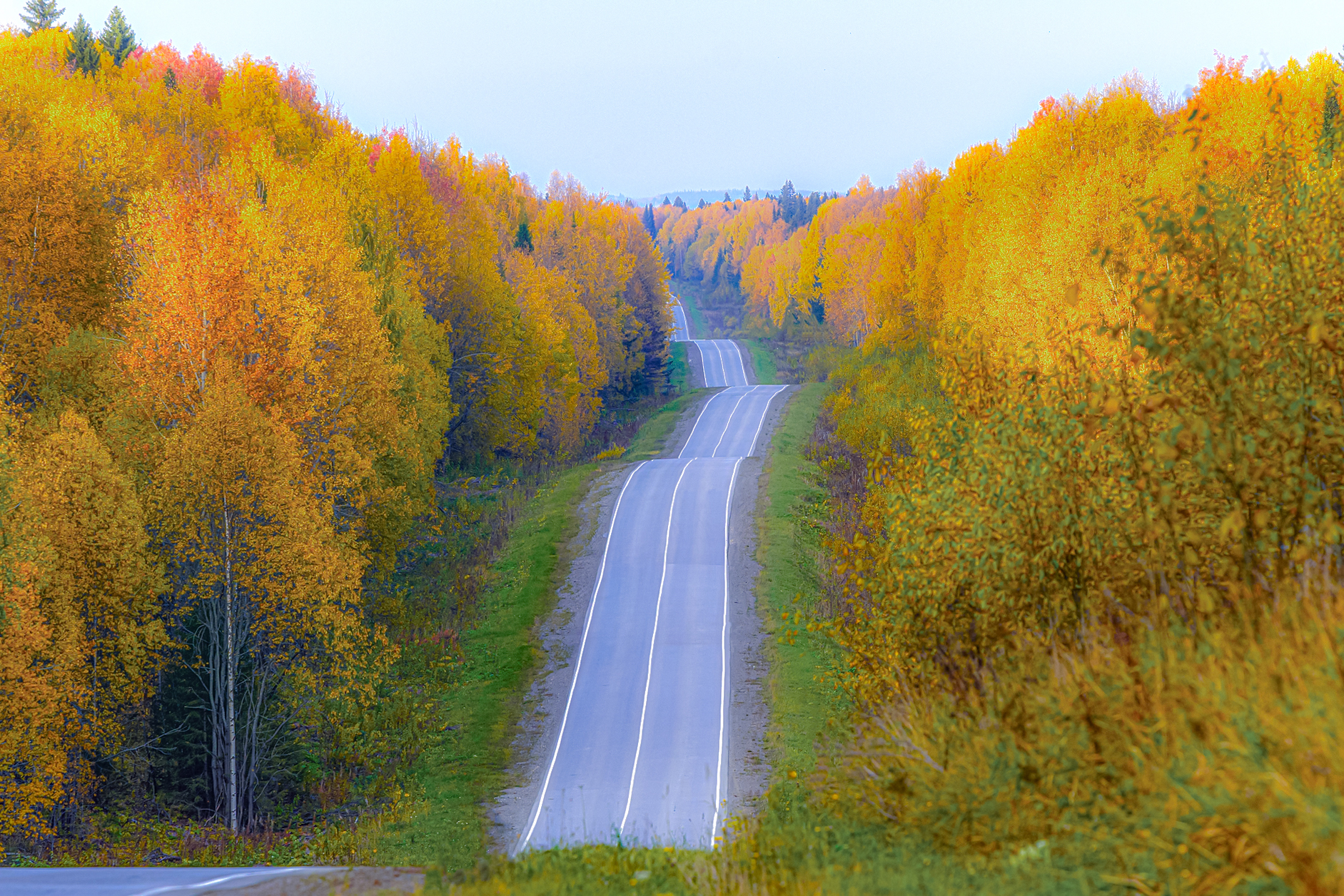 Золотая осень Алтая (26/58)