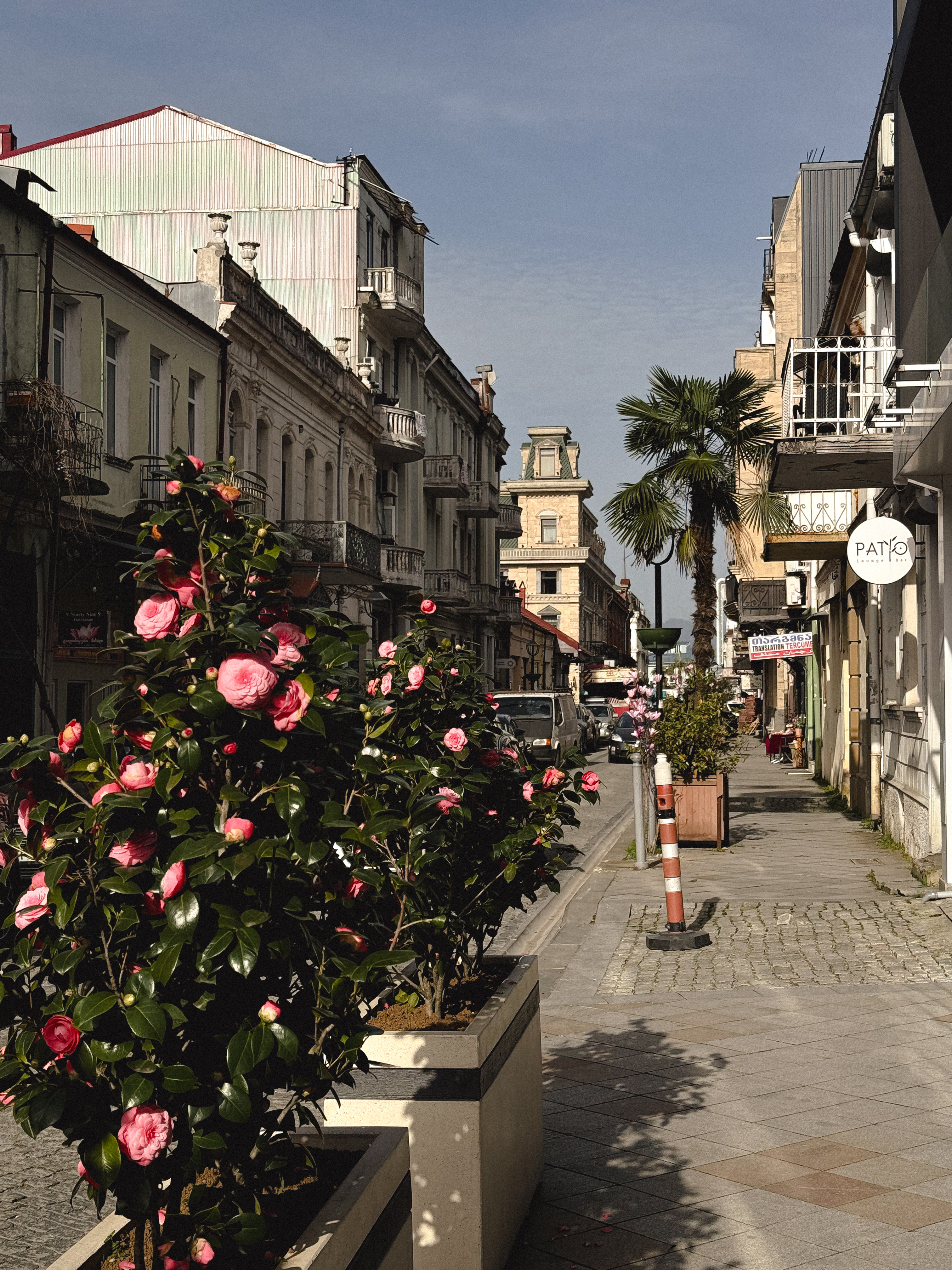 Яркие краски Грузии и Армении, с посещением Батуми и отдыхом на море! (14/21)