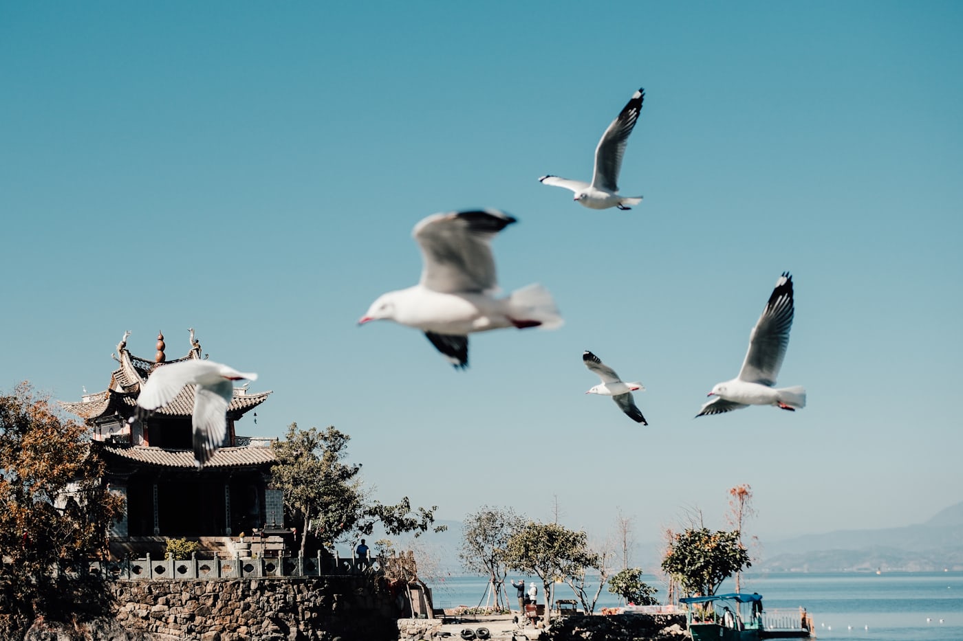 Чайное путешествие по провинции Юньнань с дегустацией знаменитых сортов чая (24/26)