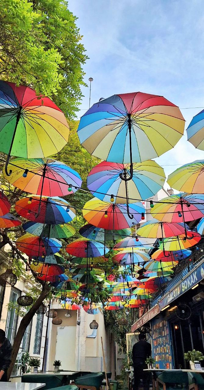 Стамбульские каникулы! Самое лучшее и интересное за 4 дня! (10/47)