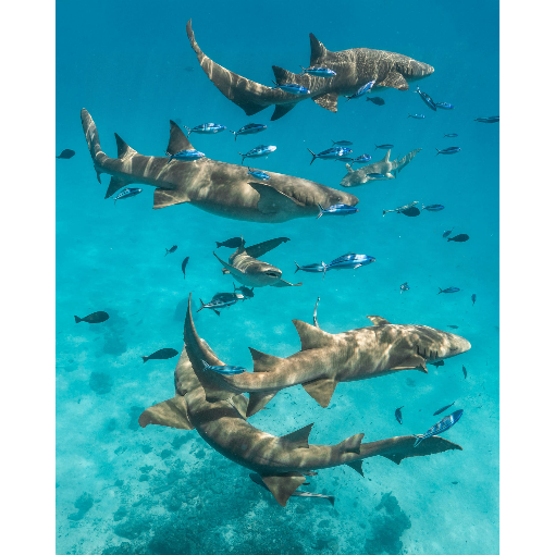 Сказочные острова Мальдивы за 1 день и 2 ночи (11/13)