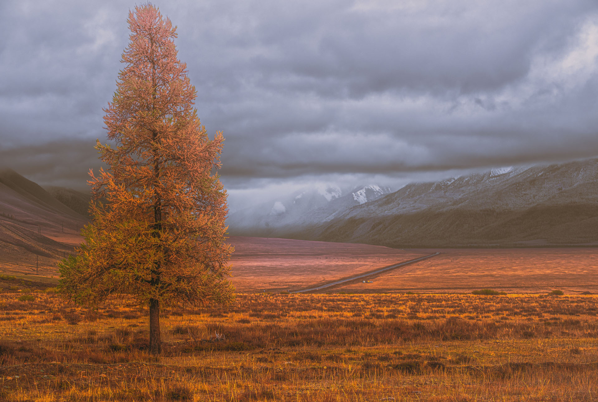 Золотая осень Алтая