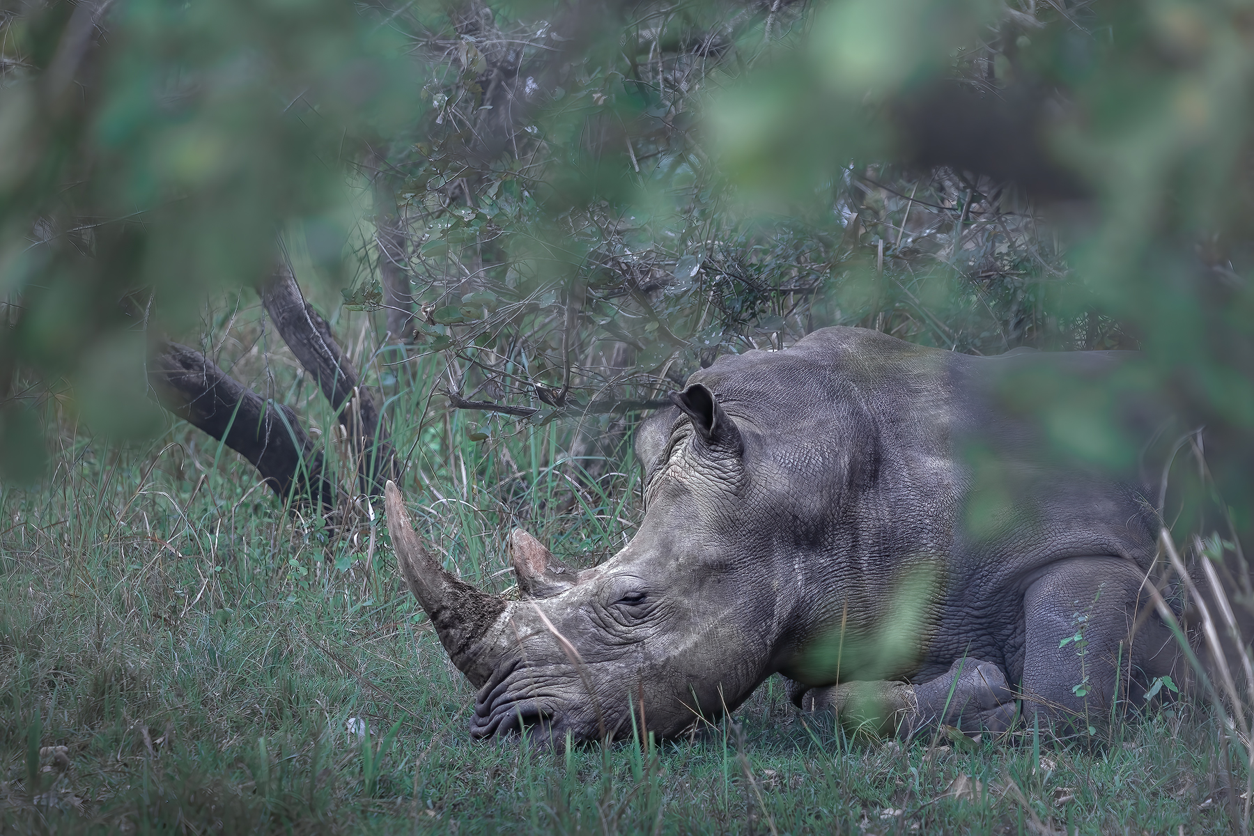 Уганда — настоящая жемчужина Африки