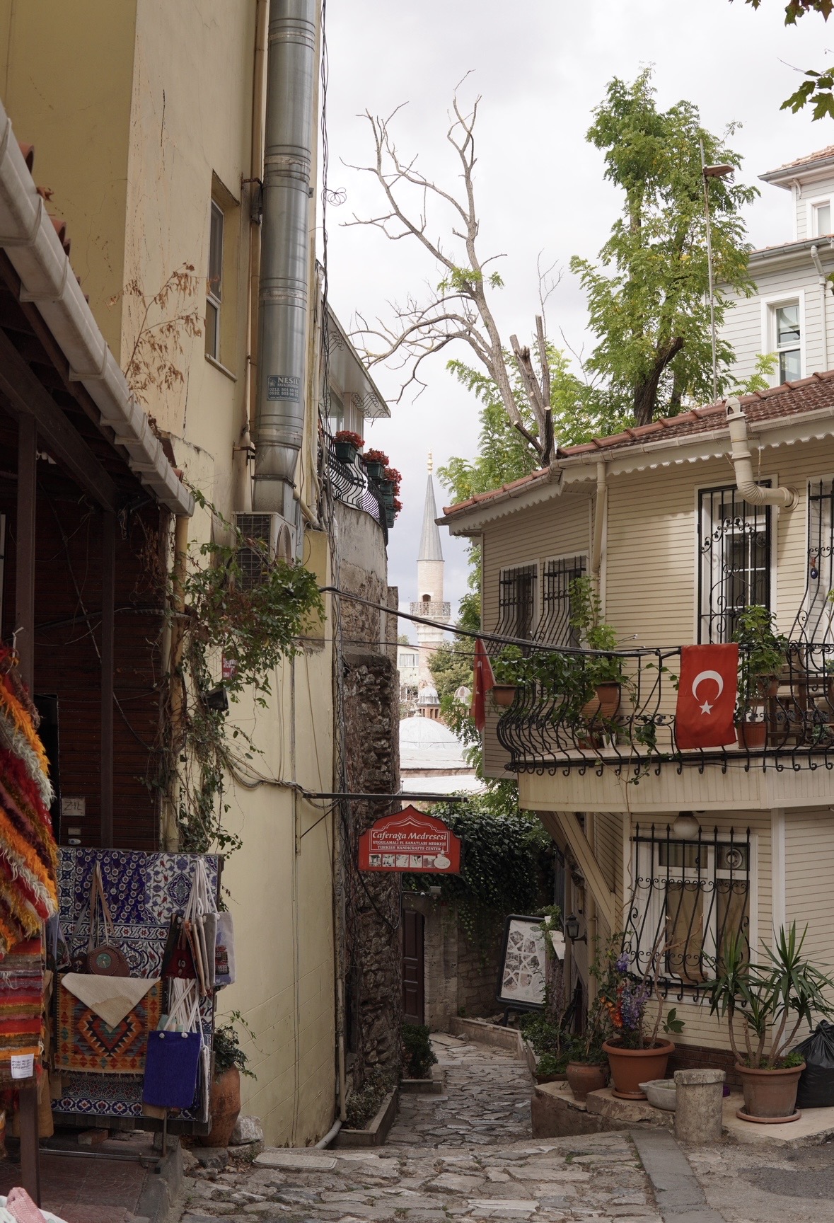 Автотур // Азорские острова (3/29)