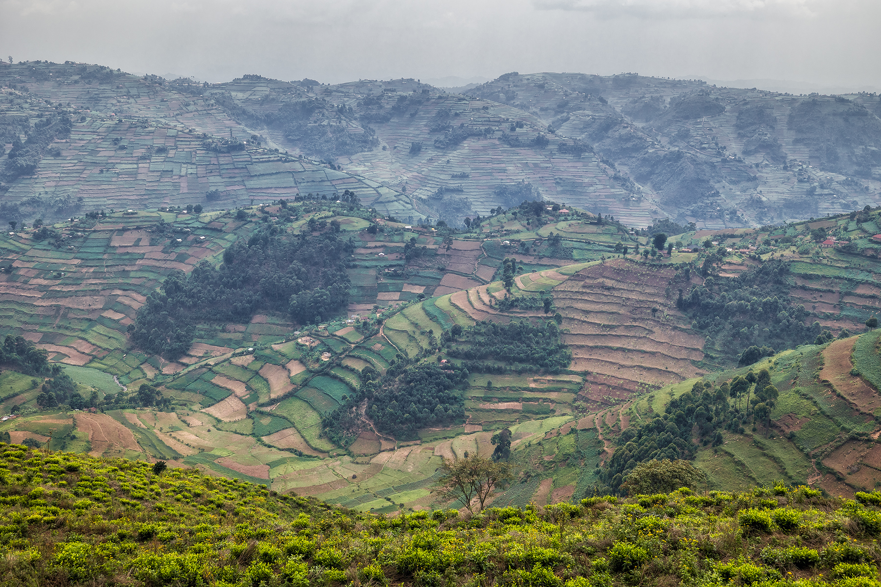 Уганда — настоящая жемчужина Африки (15/22)