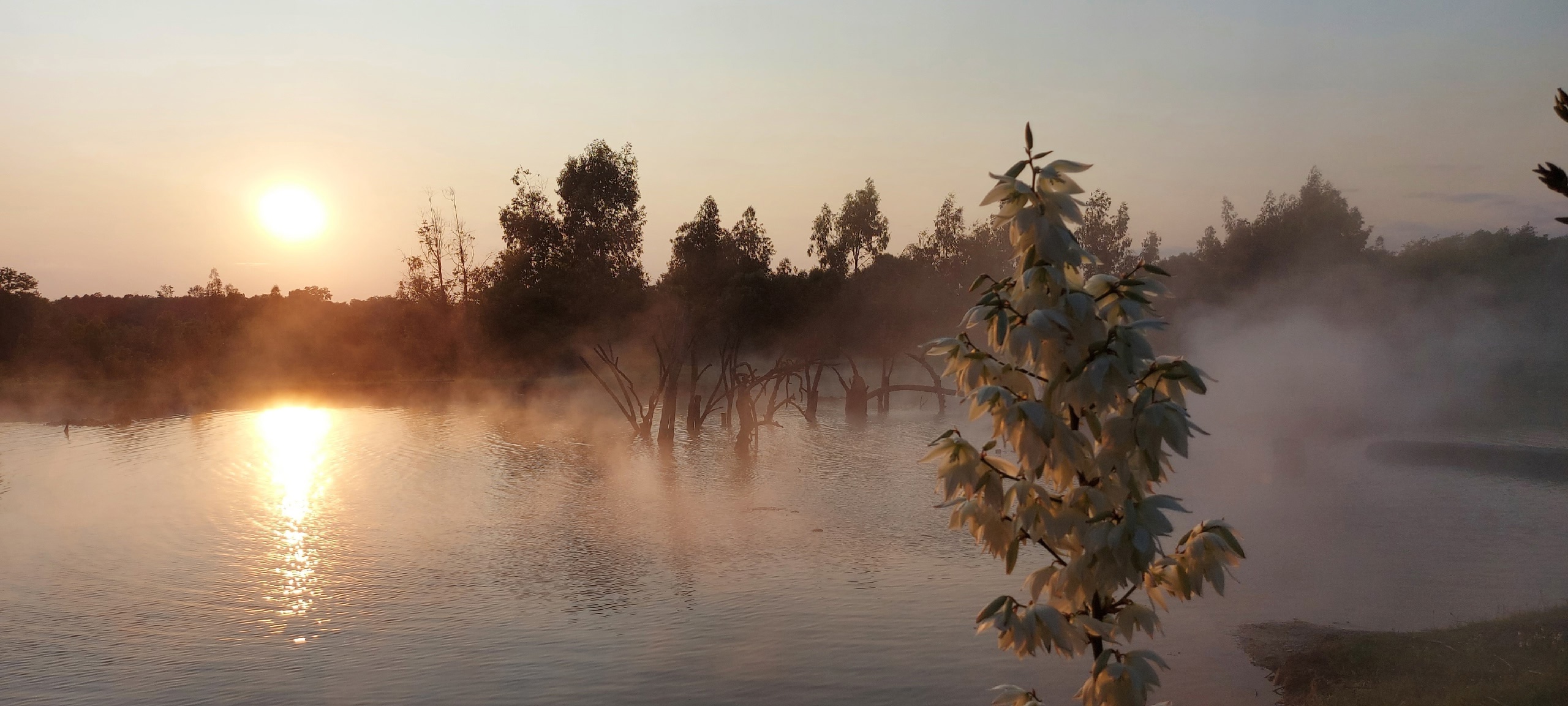 Разнообразная Абхазия ! 3 дня (25/36)
