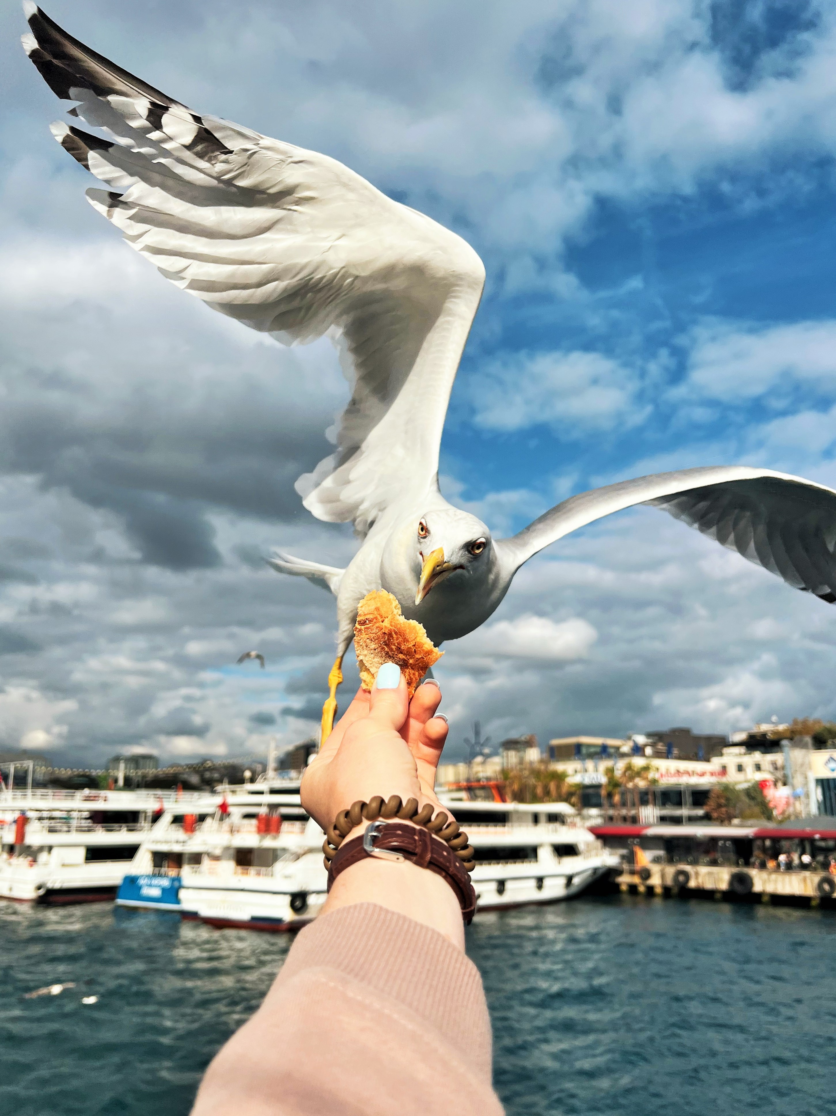 Стамбульские каникулы! Самое лучшее и интересное за 4 дня! (15/47)