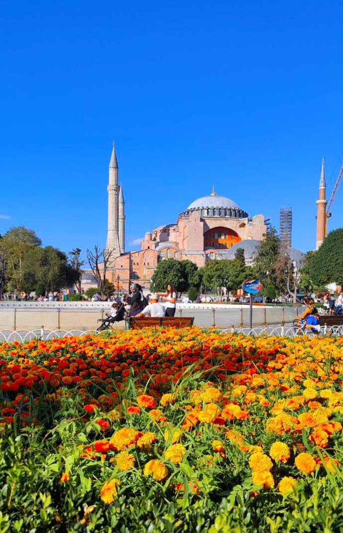 Стамбульские каникулы! Самое лучшее и интересное за 4 дня! (29/47)