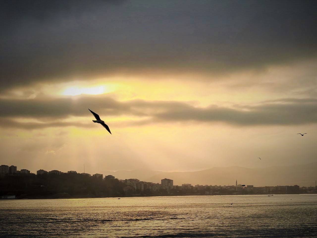 Стамбульские каникулы! Самое лучшее и интересное за 4 дня! (16/47)