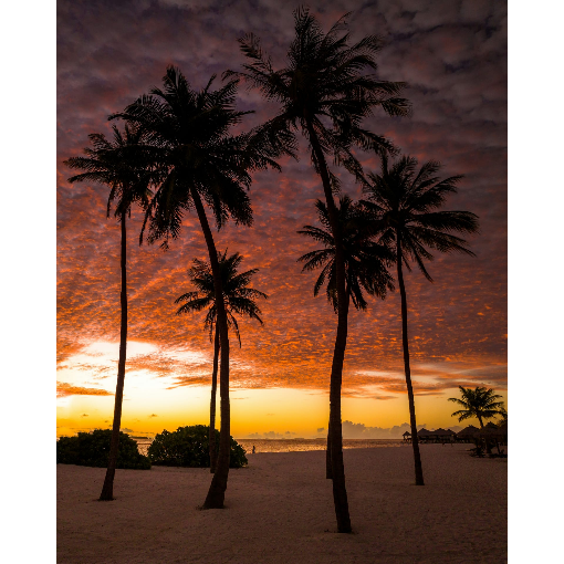 Сказочные острова Мальдивы за 1 день и 2 ночи (3/13)