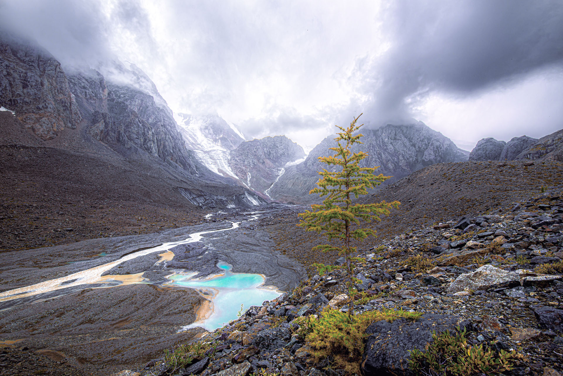 Золотая осень Алтая (4/58)