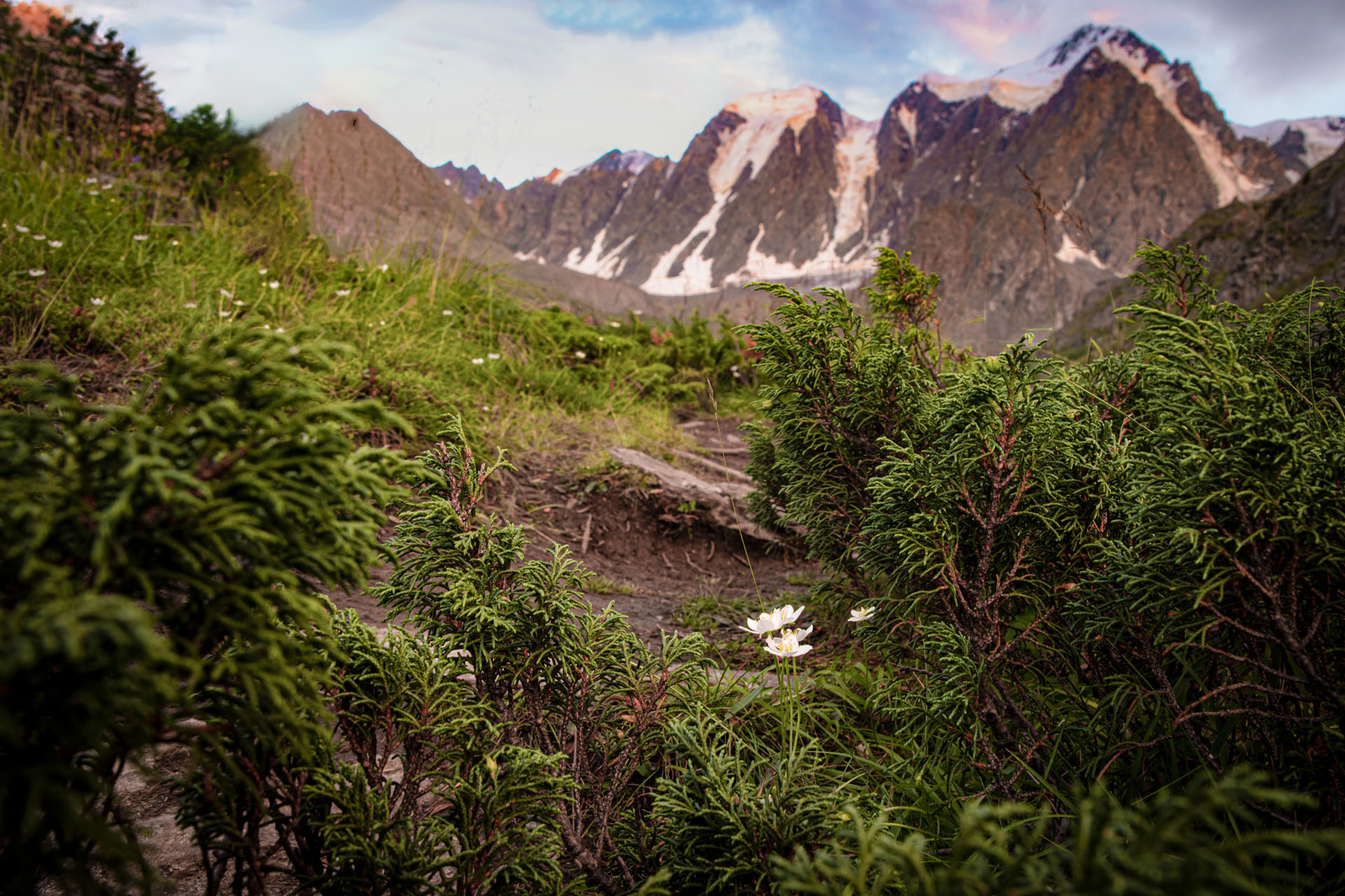Горный Алтай. Мультинские озера (14/50)