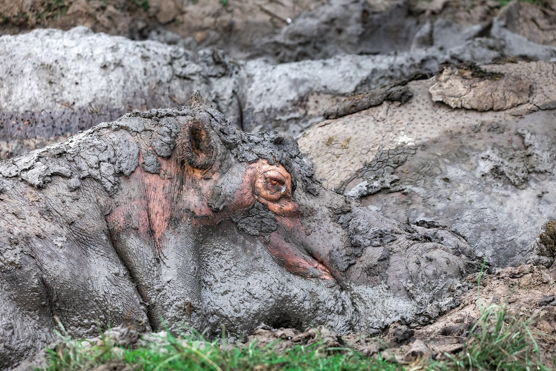 Уганда — настоящая жемчужина Африки (13/22)