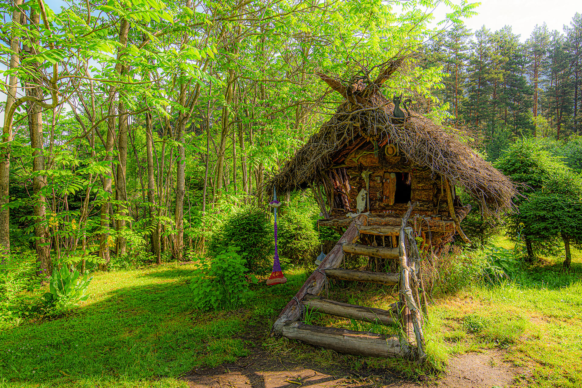 Золотая осень Алтая (55/58)