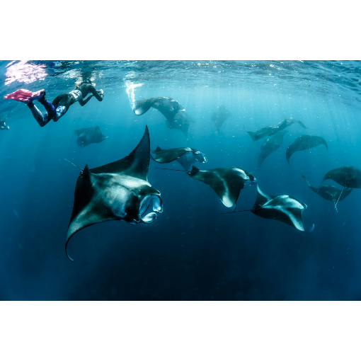 Сказочные острова Мальдивы за 1 день и 2 ночи (7/13)